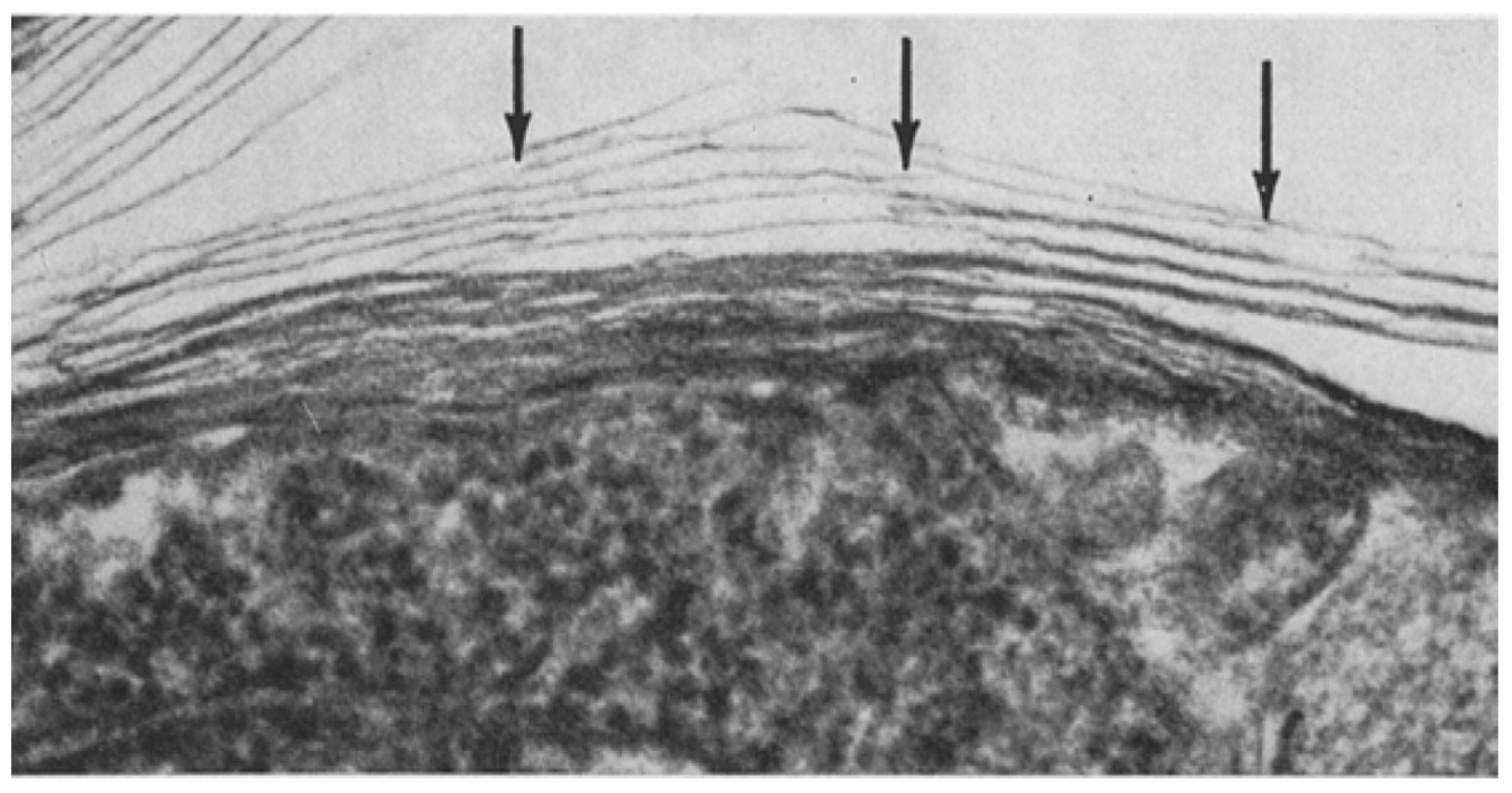 Fermentation 10 00608 g007