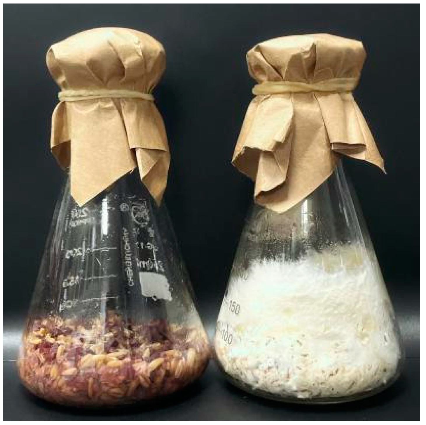 Fermentation 10 00618 g001 Fermentation 10 00618 g001