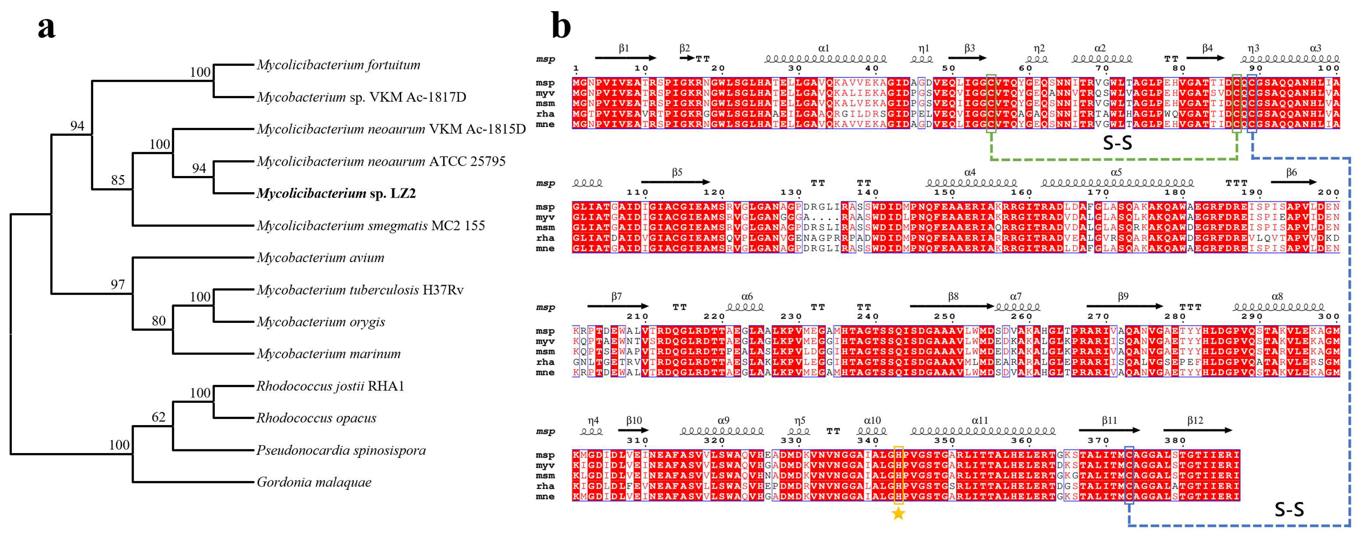 Fermentation 10 00627 g002