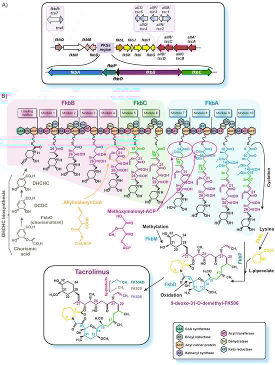 Fermentation 10 00645 g003