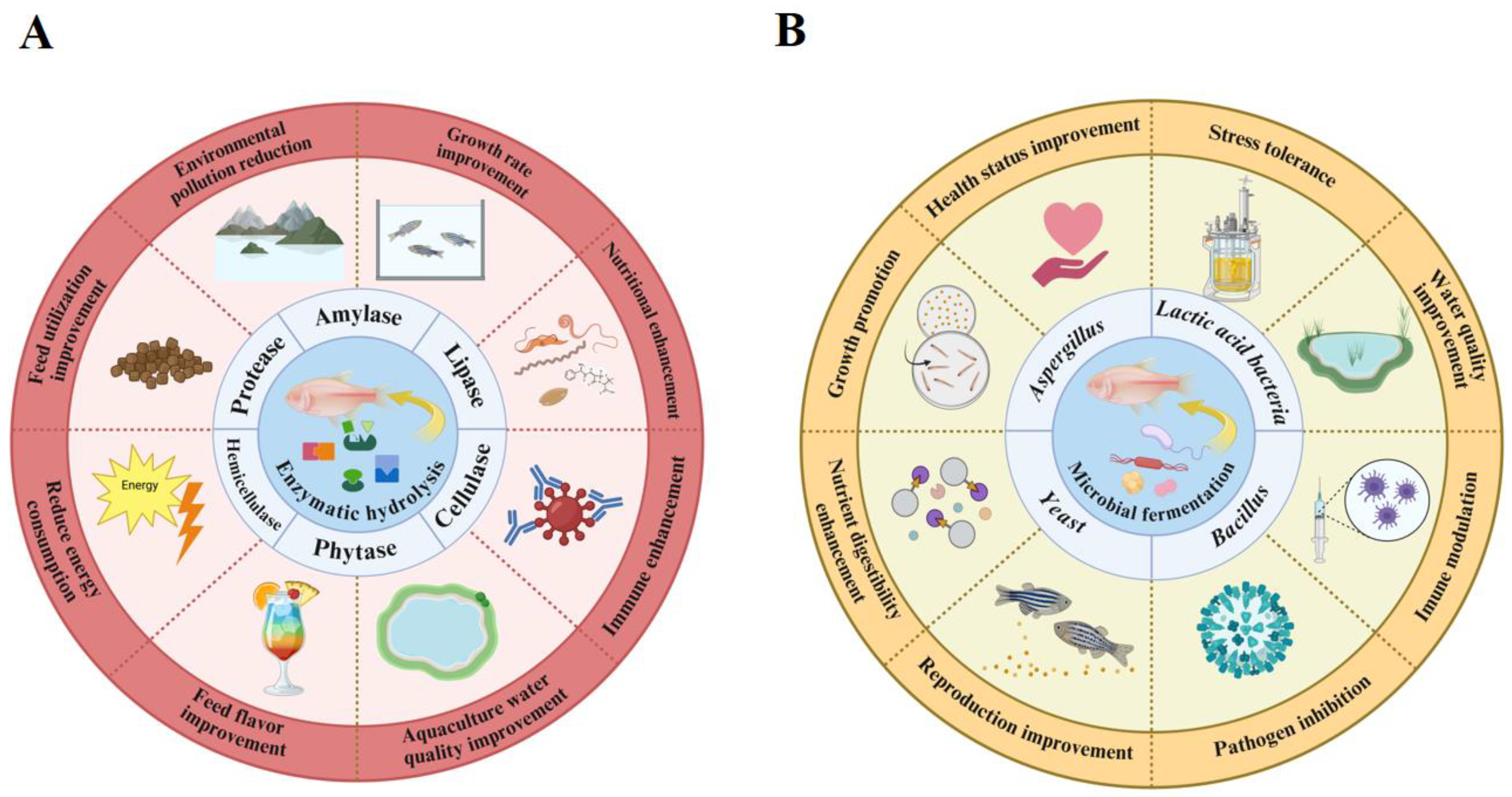 Fermentation 10 00648 g003