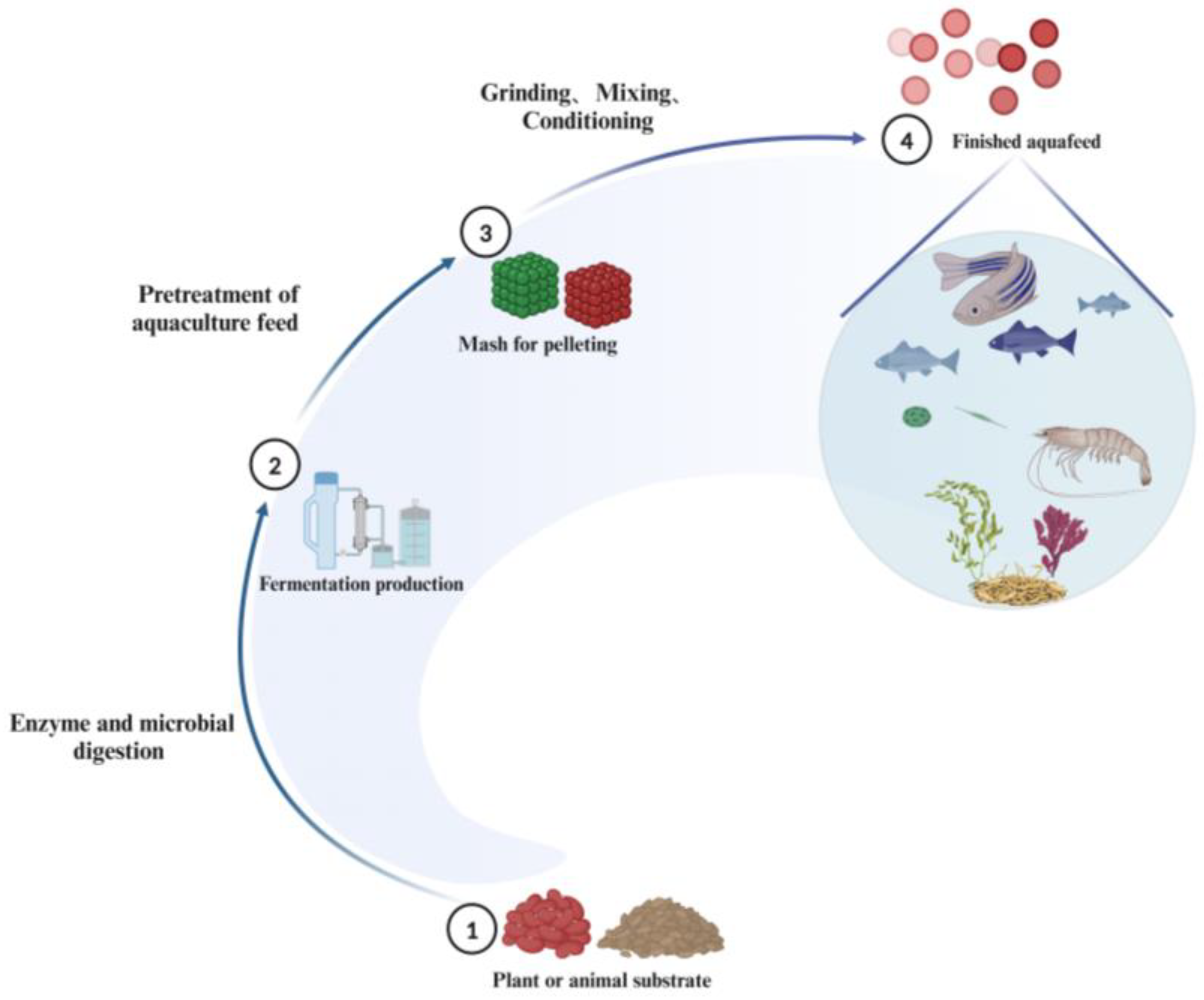 Fermentation 10 00648 g004
