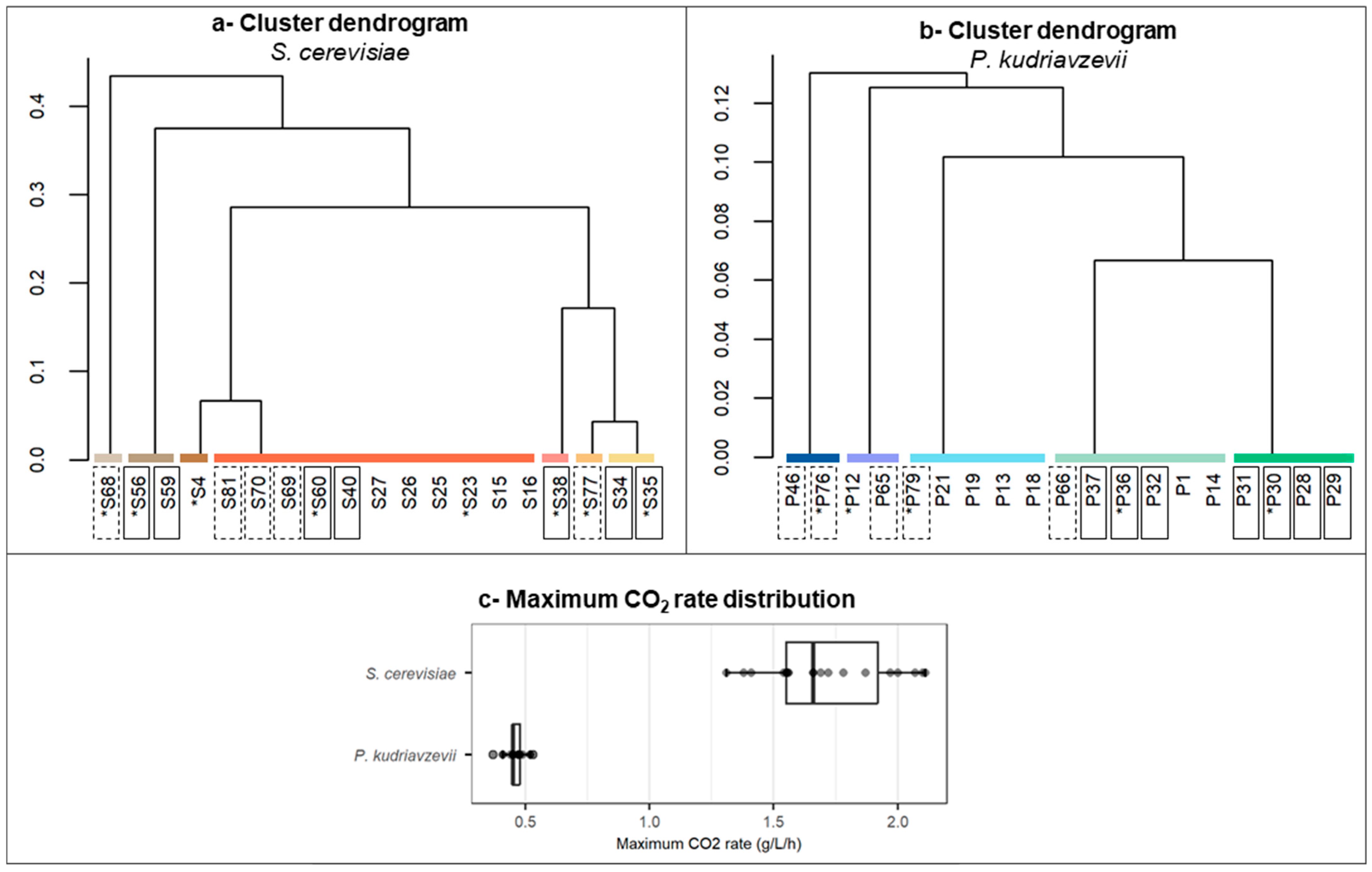 Fermentation 10 00662 g001