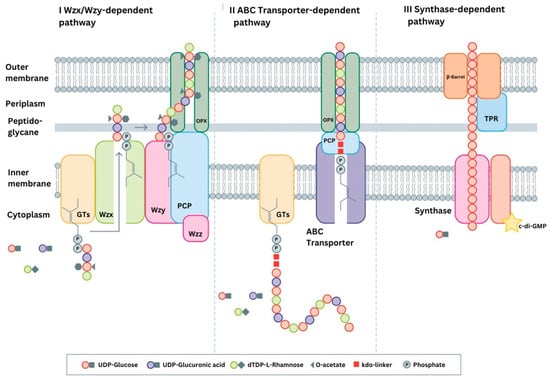 Fermentation 11 00016 g002