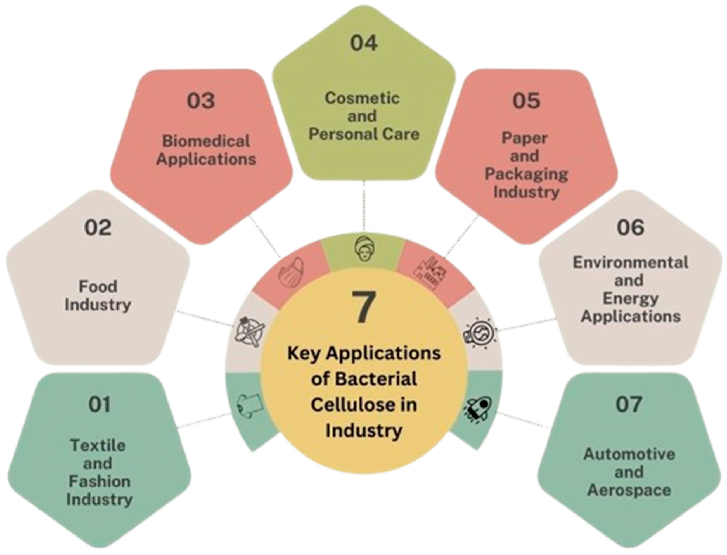 Fermentation 11 00023 g001
