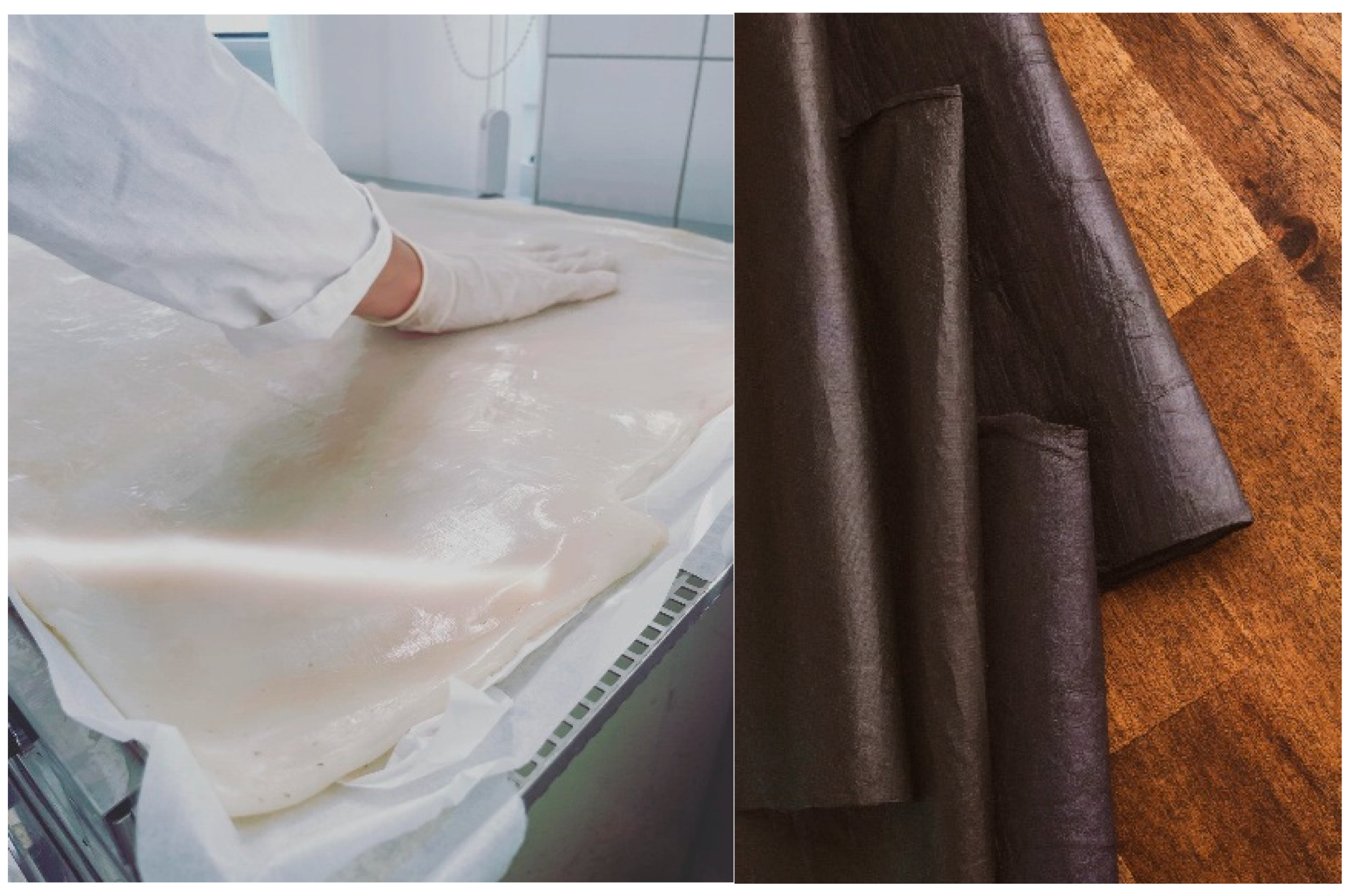 Fermentation 11 00023 g002