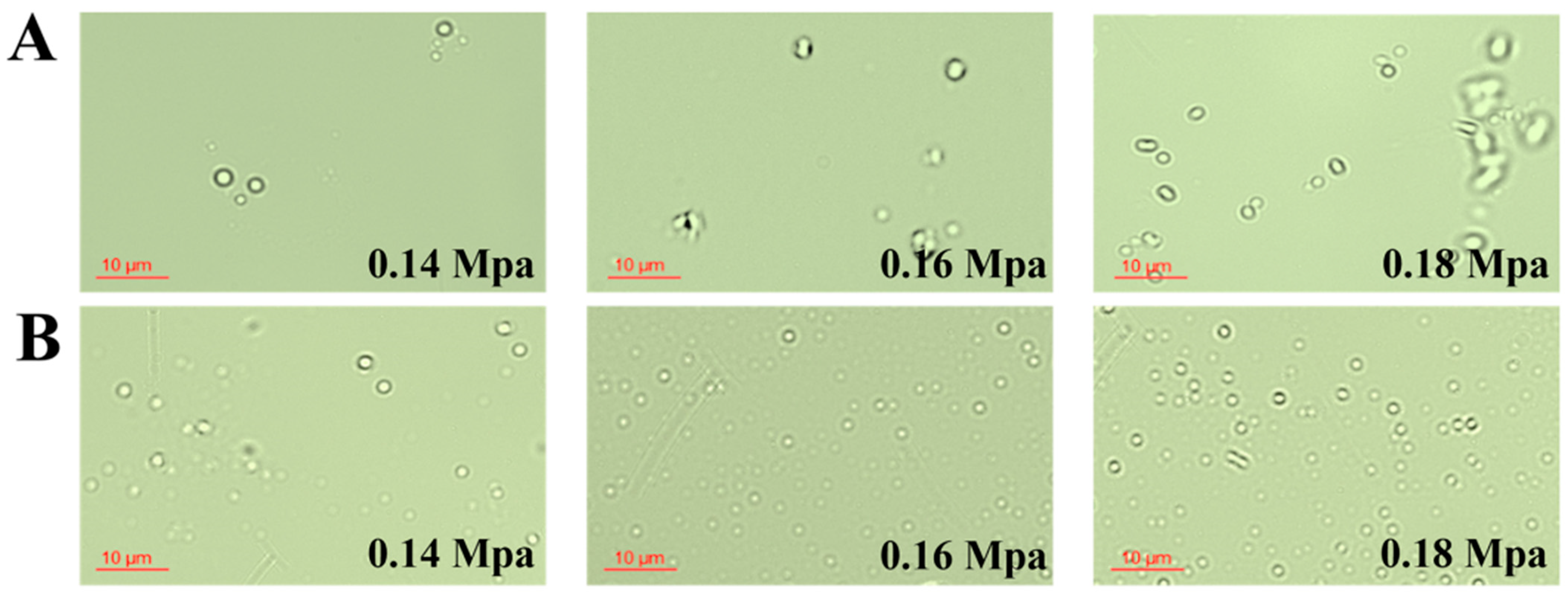 Fermentation 11 00031 g004