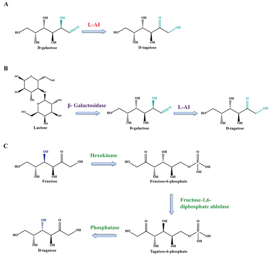 Fermentation 11 00046 g003