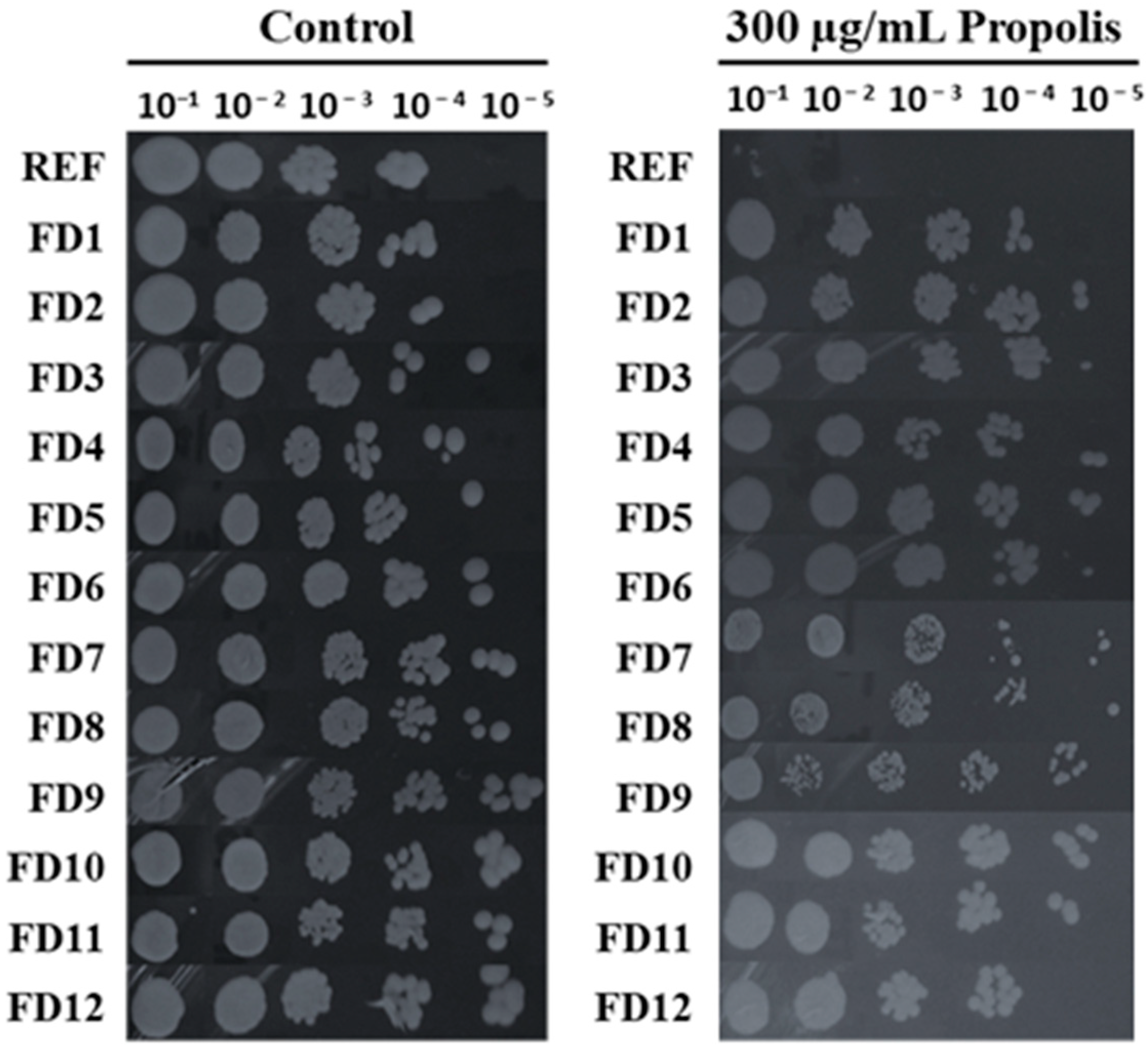 Fermentation 11 00047 g001