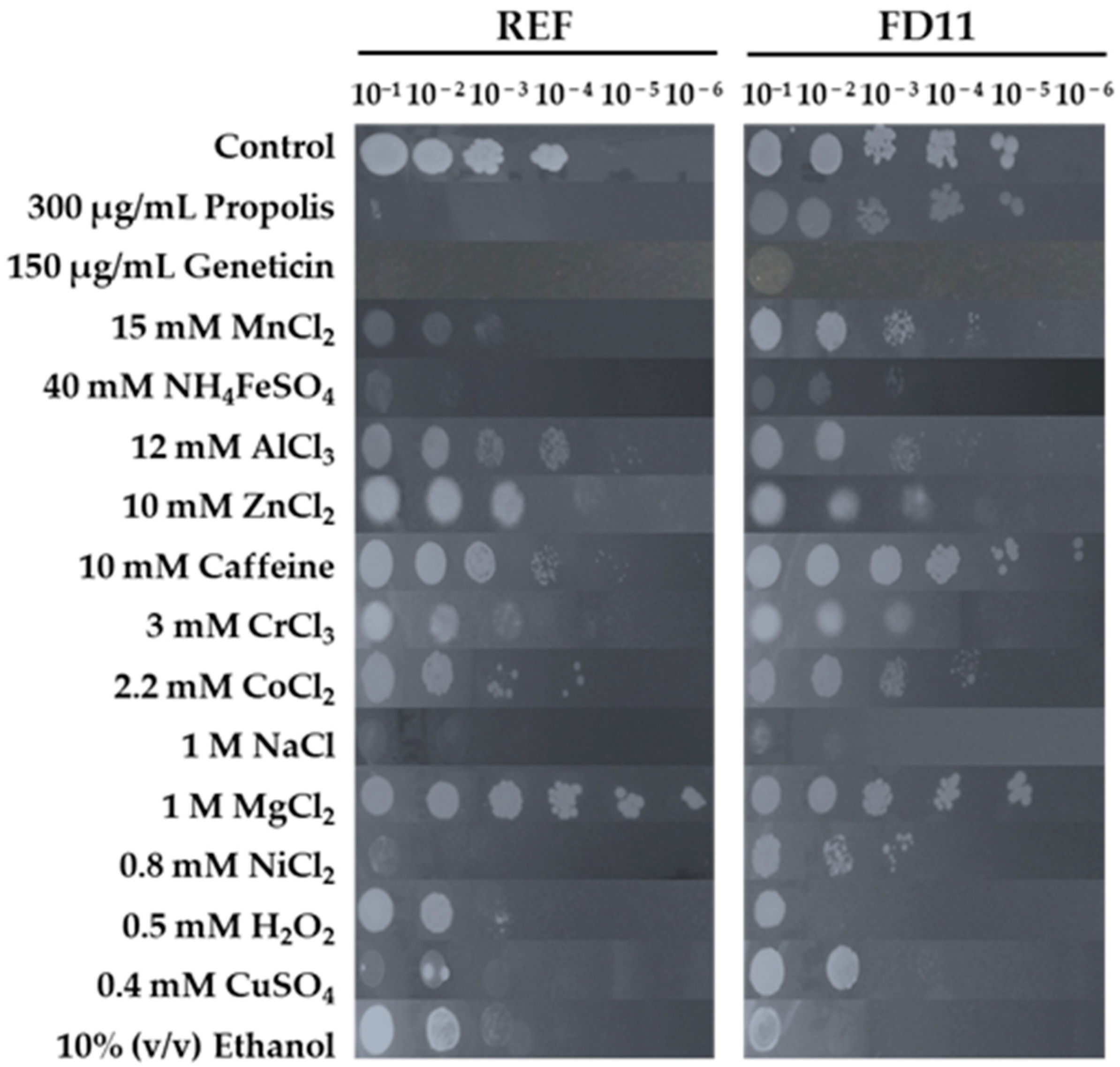 Fermentation 11 00047 g003