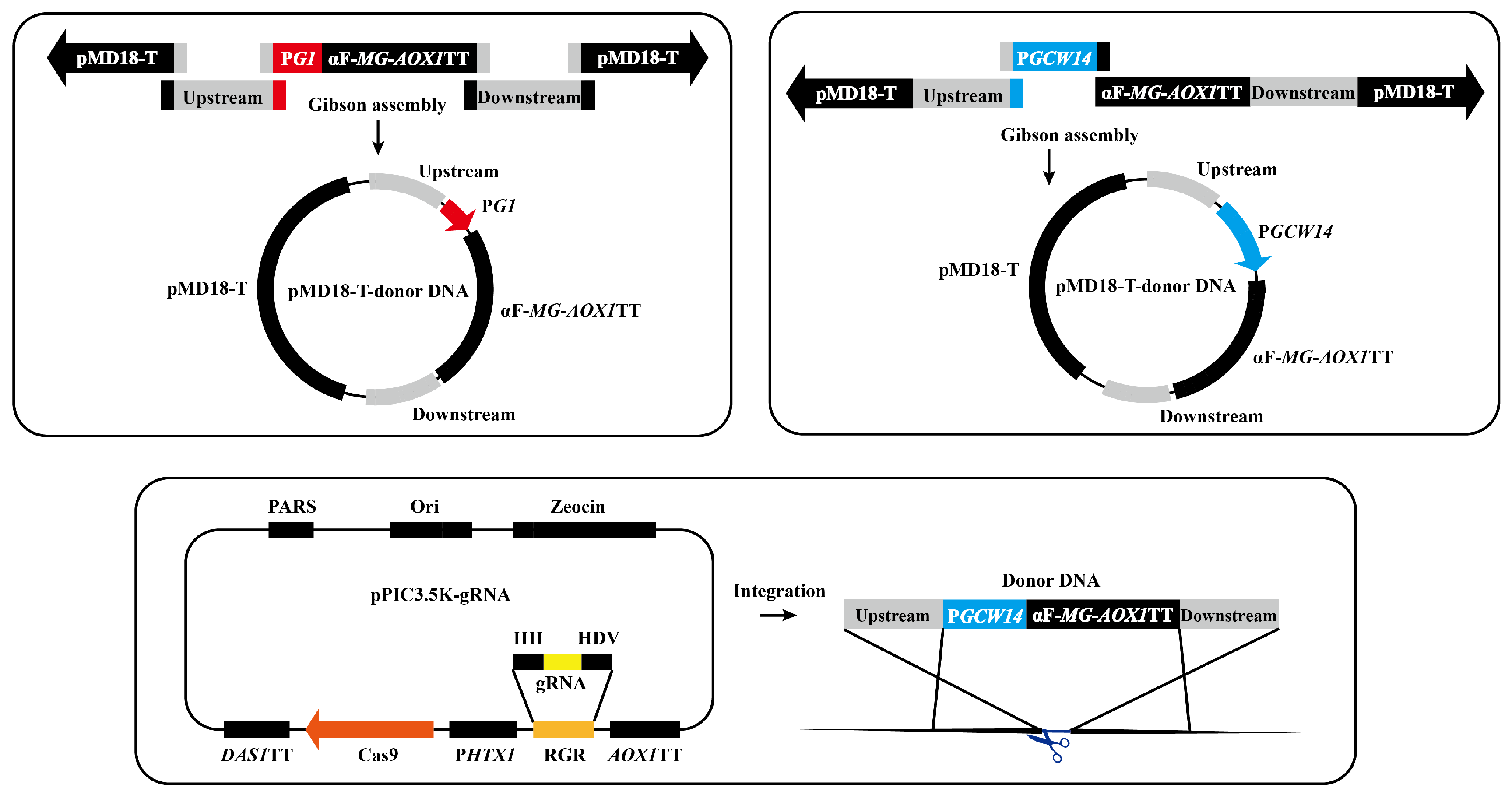 Fermentation 11 00049 g001