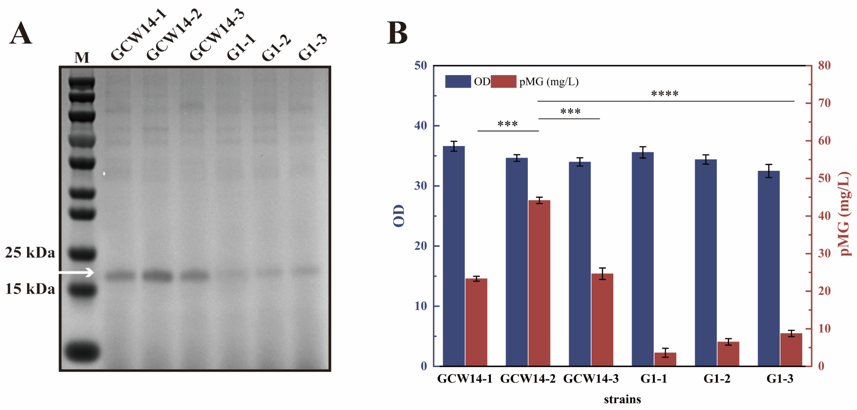 Fermentation 11 00049 g002
