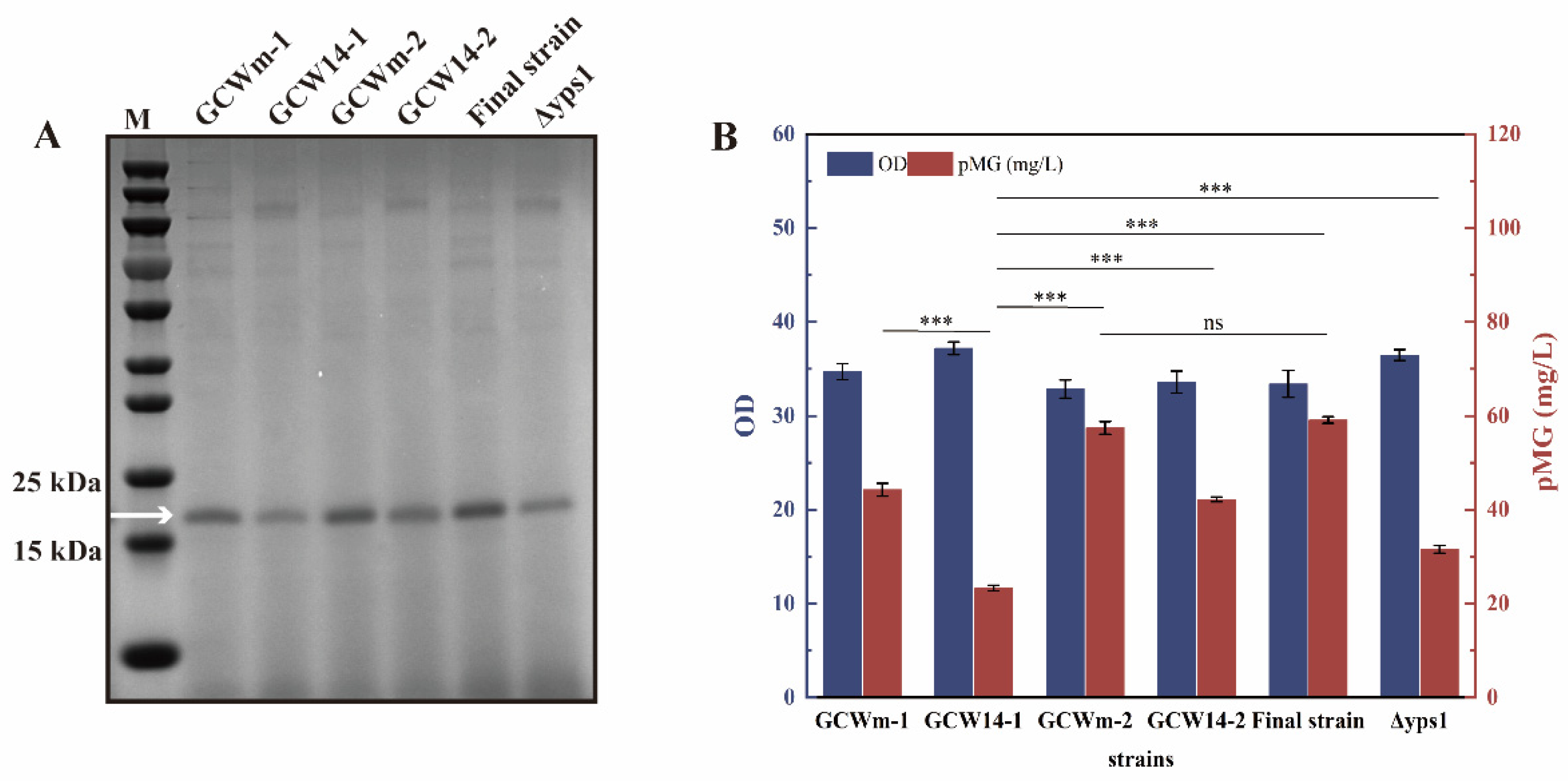 Fermentation 11 00049 g006
