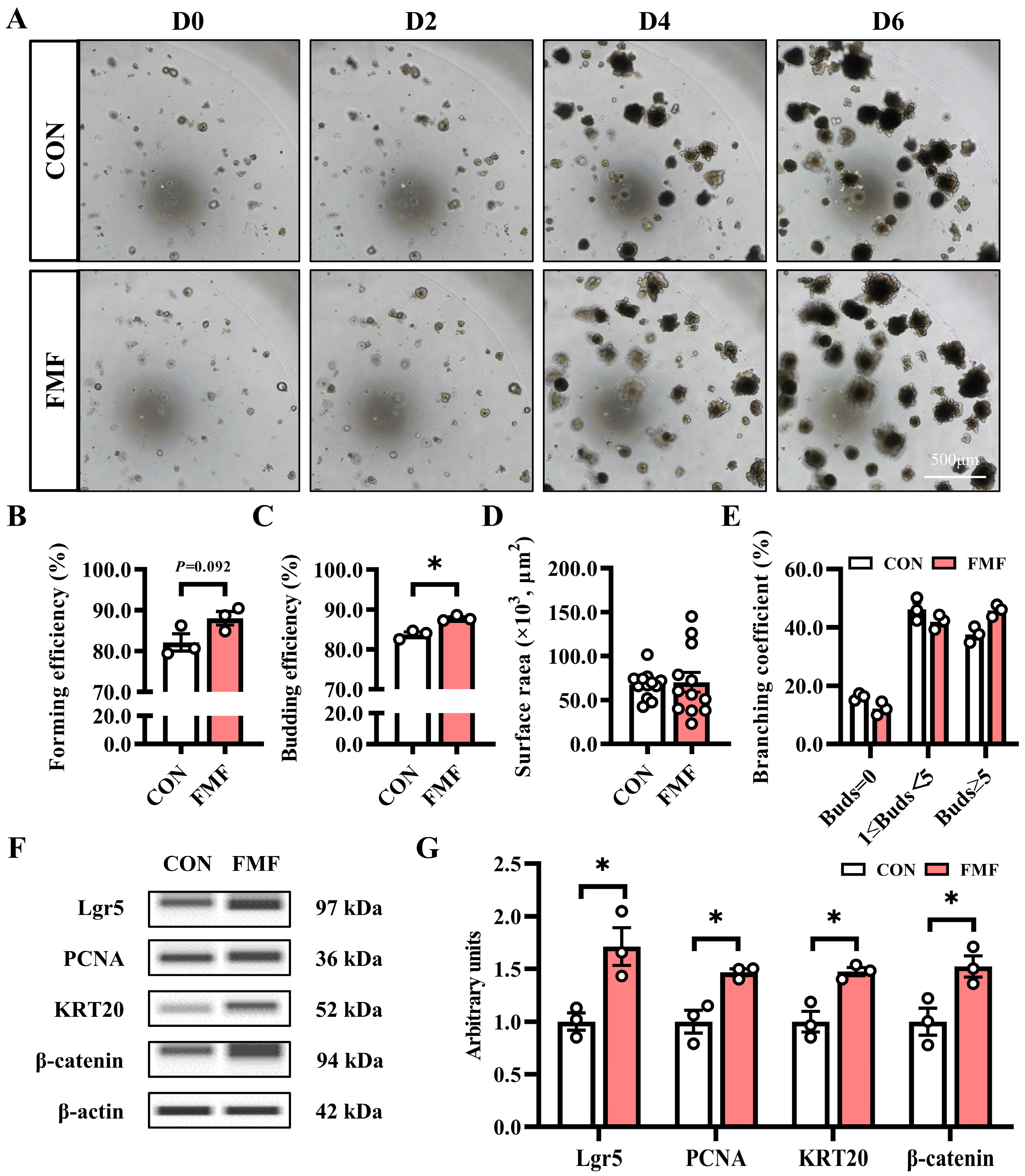 Fermentation 11 00052 g004