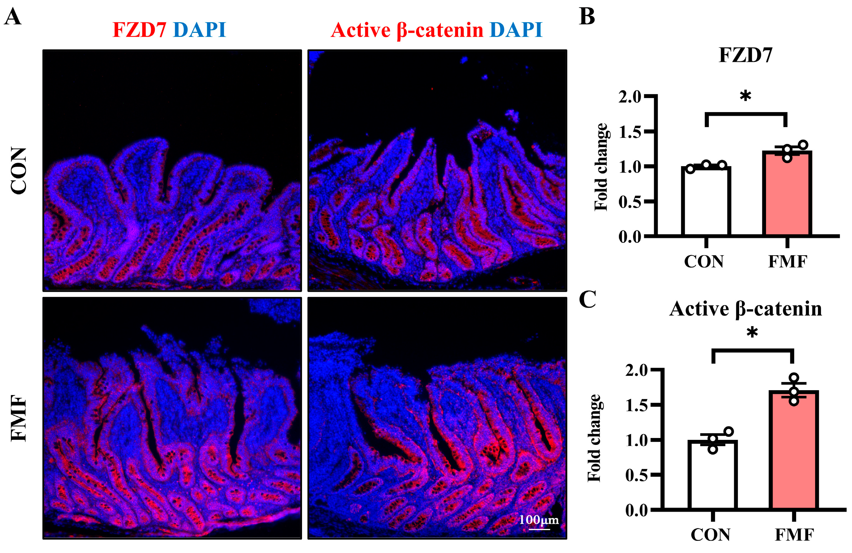Fermentation 11 00052 g005