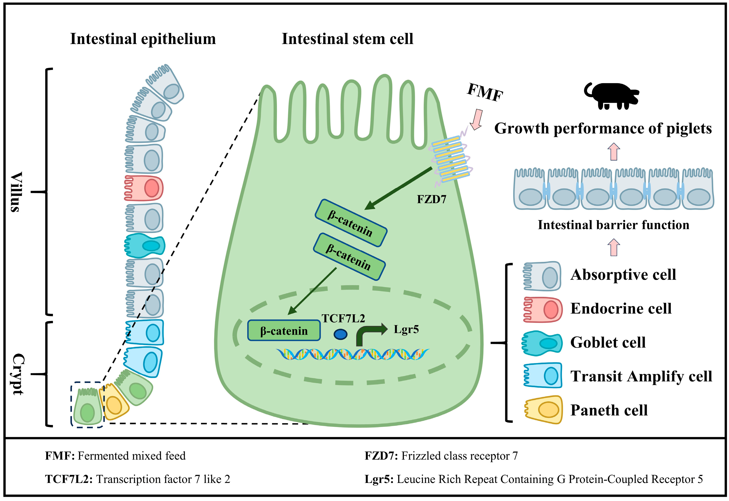 Fermentation 11 00052 g006