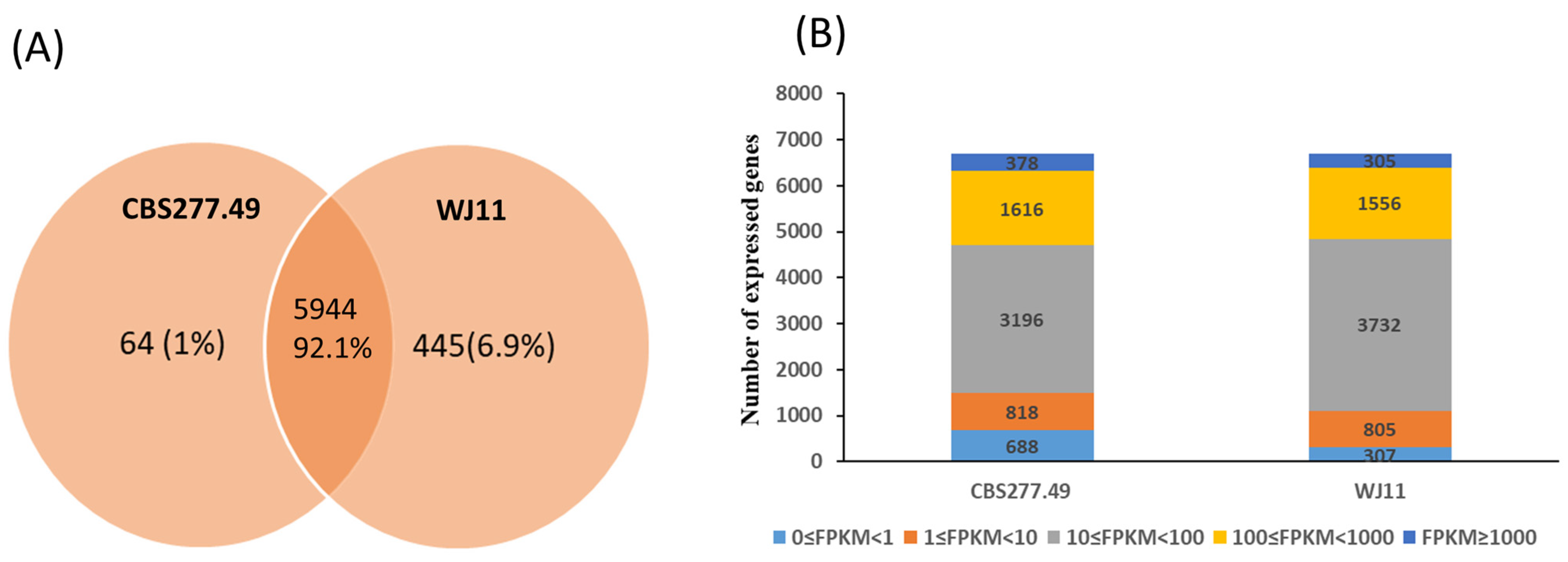 Fermentation 11 00061 g002 Fermentation 11 00061 g002