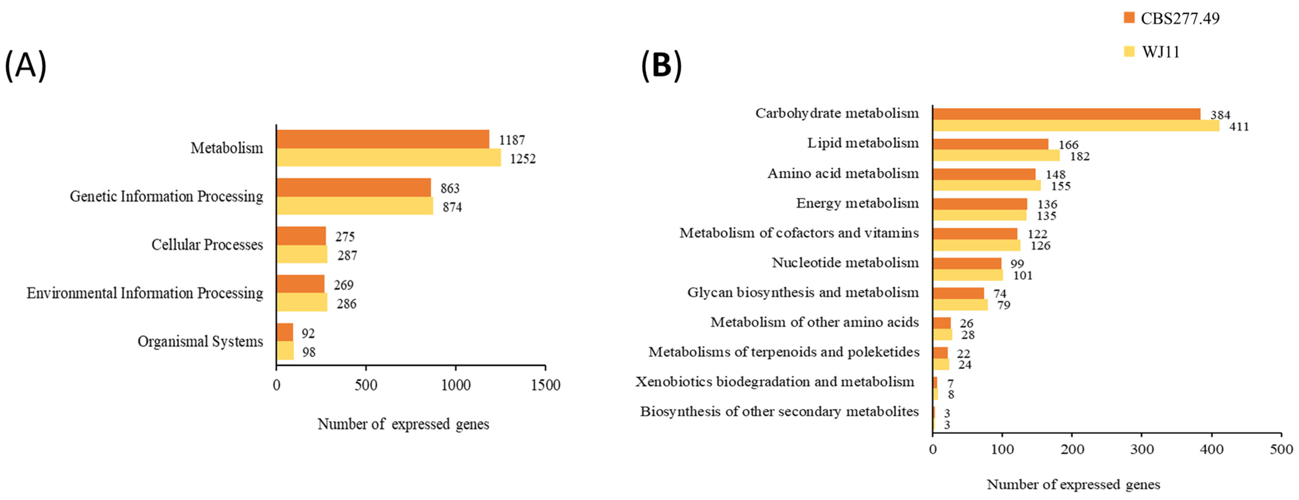 Fermentation 11 00061 g003 Fermentation 11 00061 g003
