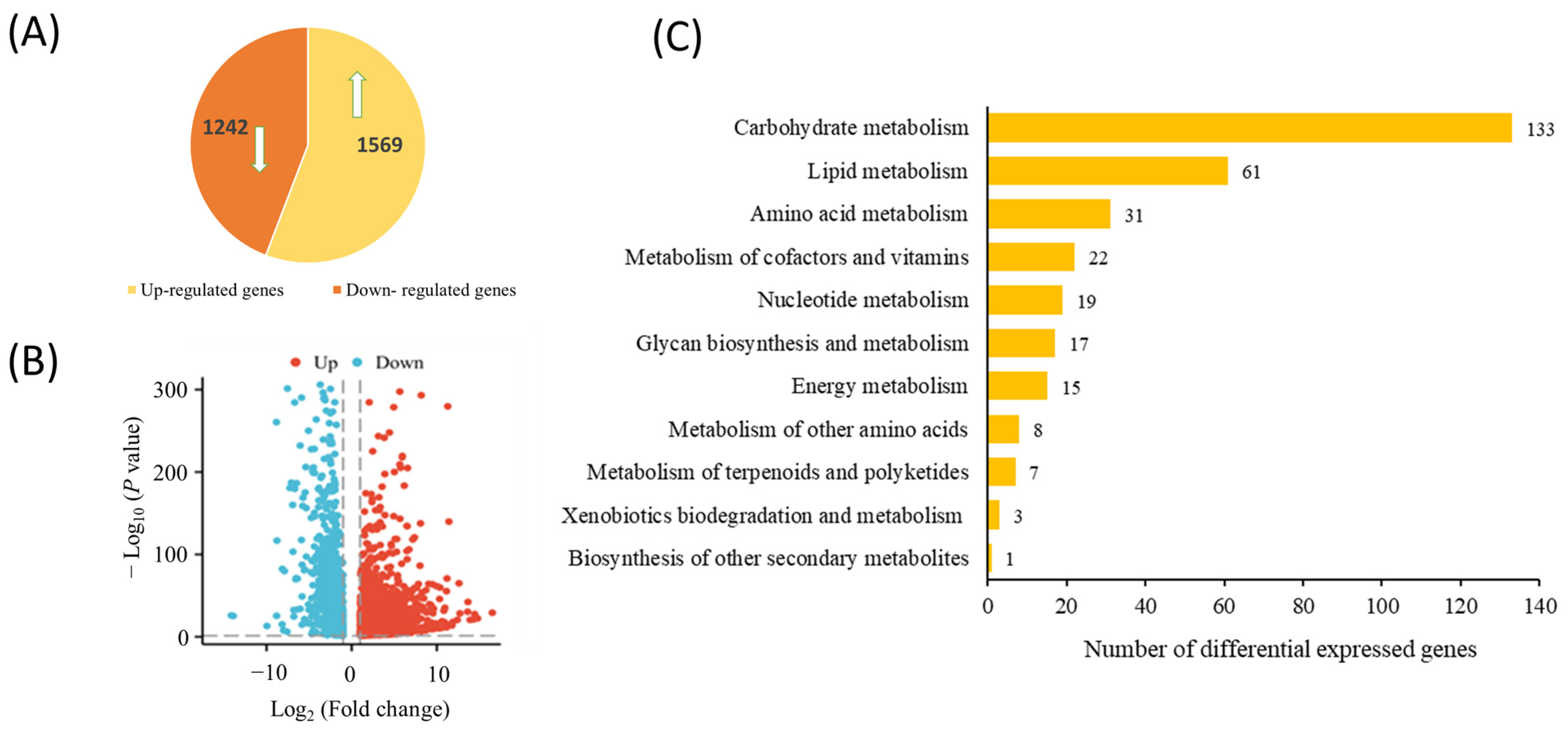 Fermentation 11 00061 g004 Fermentation 11 00061 g004