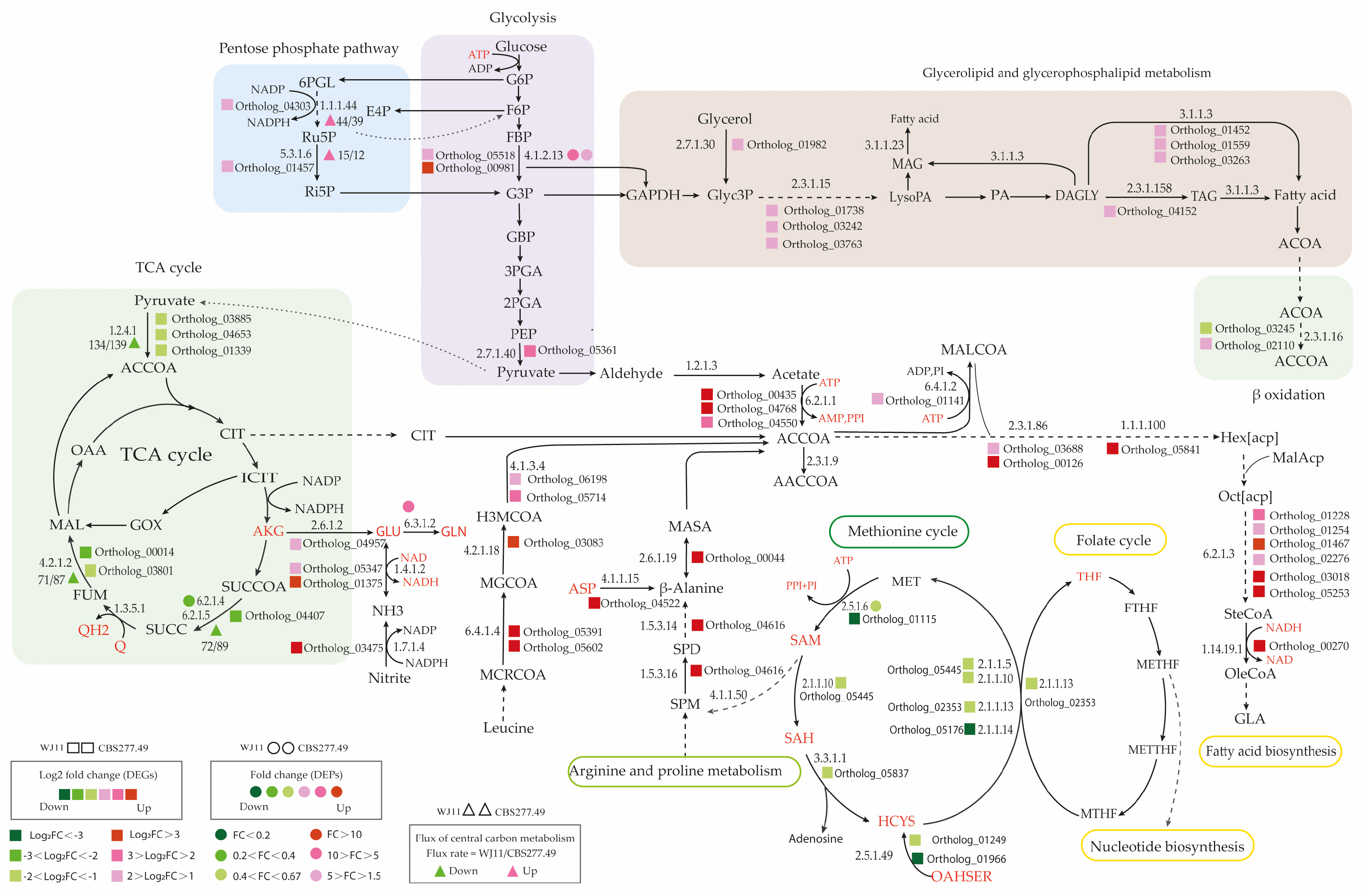 Fermentation 11 00061 g005 Fermentation 11 00061 g005