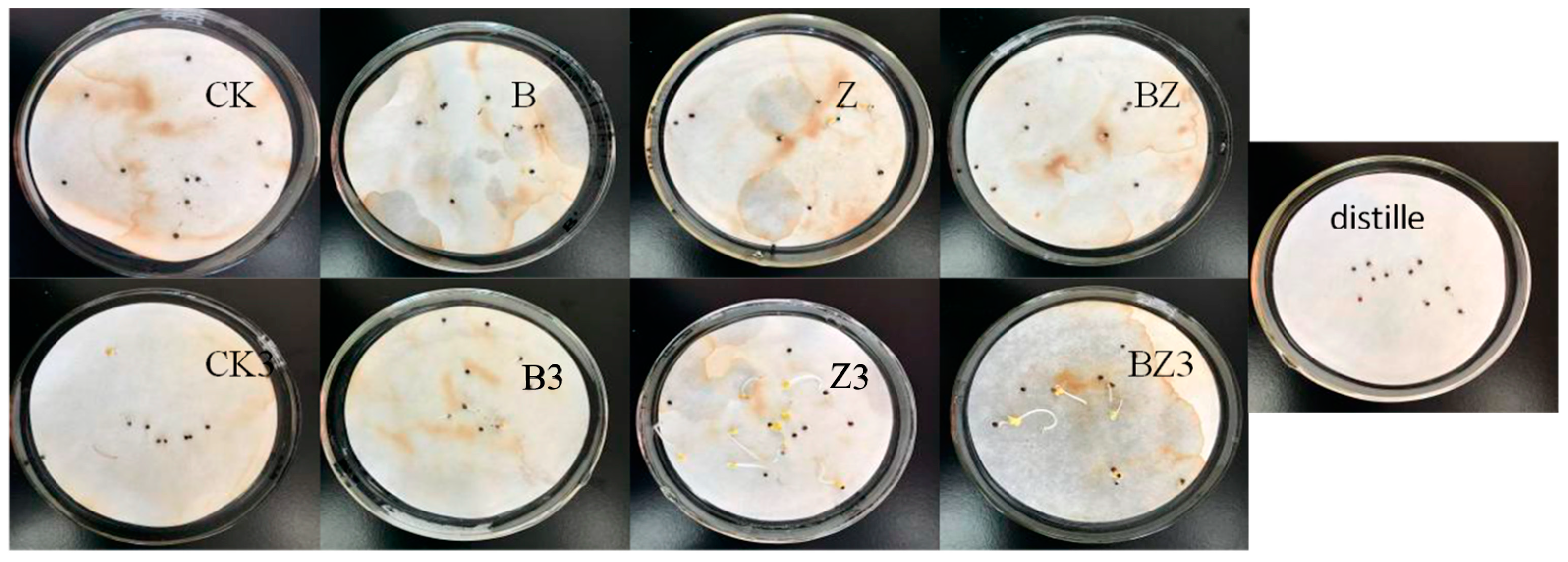 Fermentation 11 00066 g008 Fermentation 11 00066 g008
