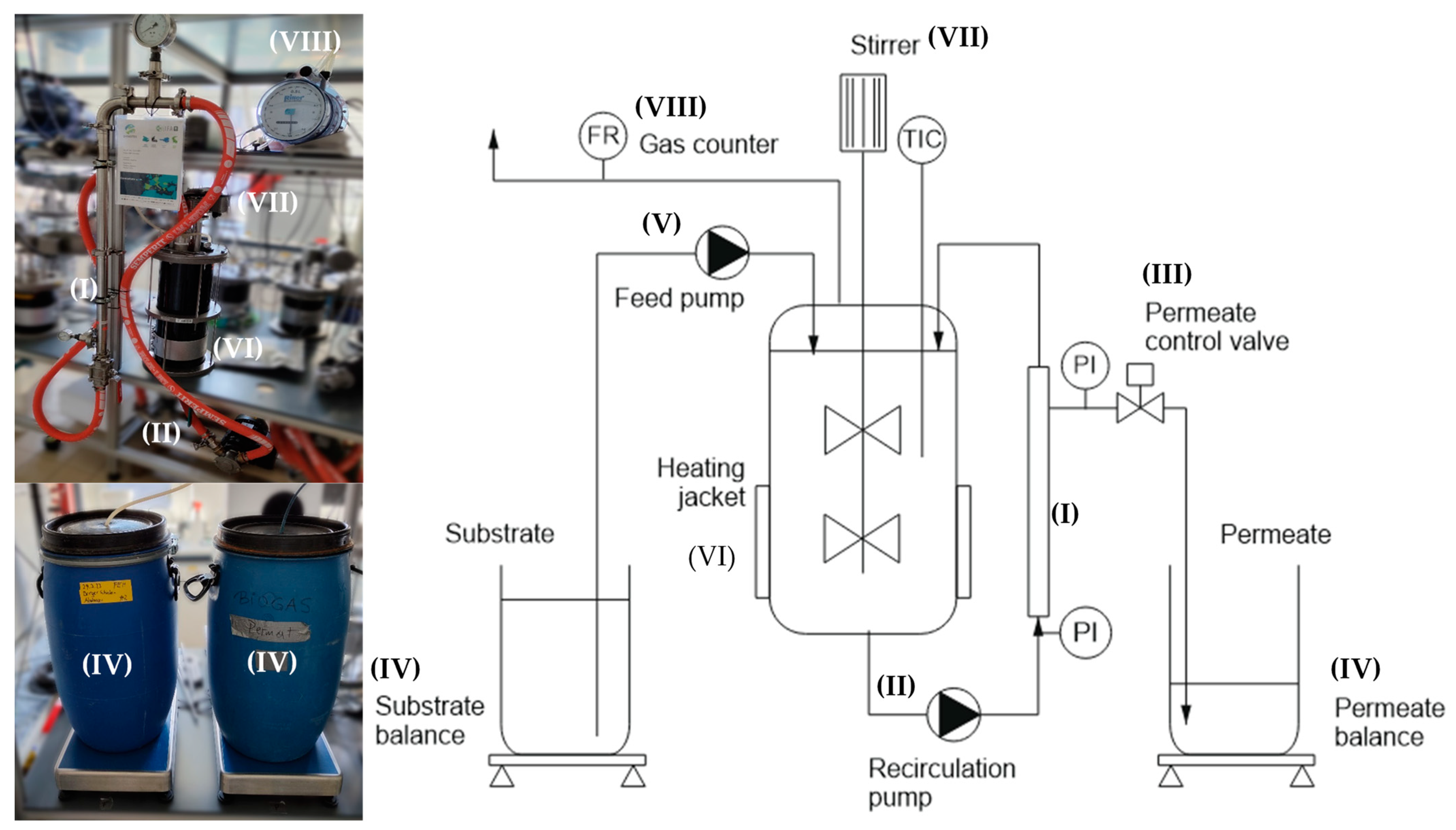 Fermentation 11 00068 g001