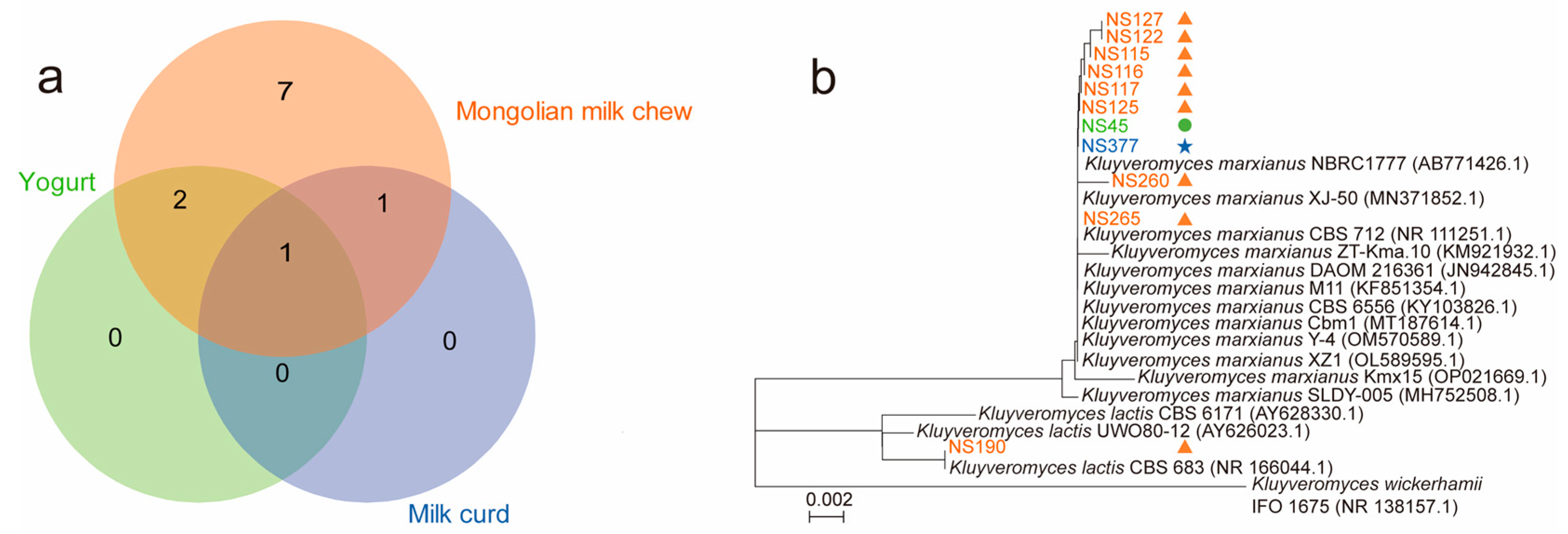 Fermentation 11 00070 g001
