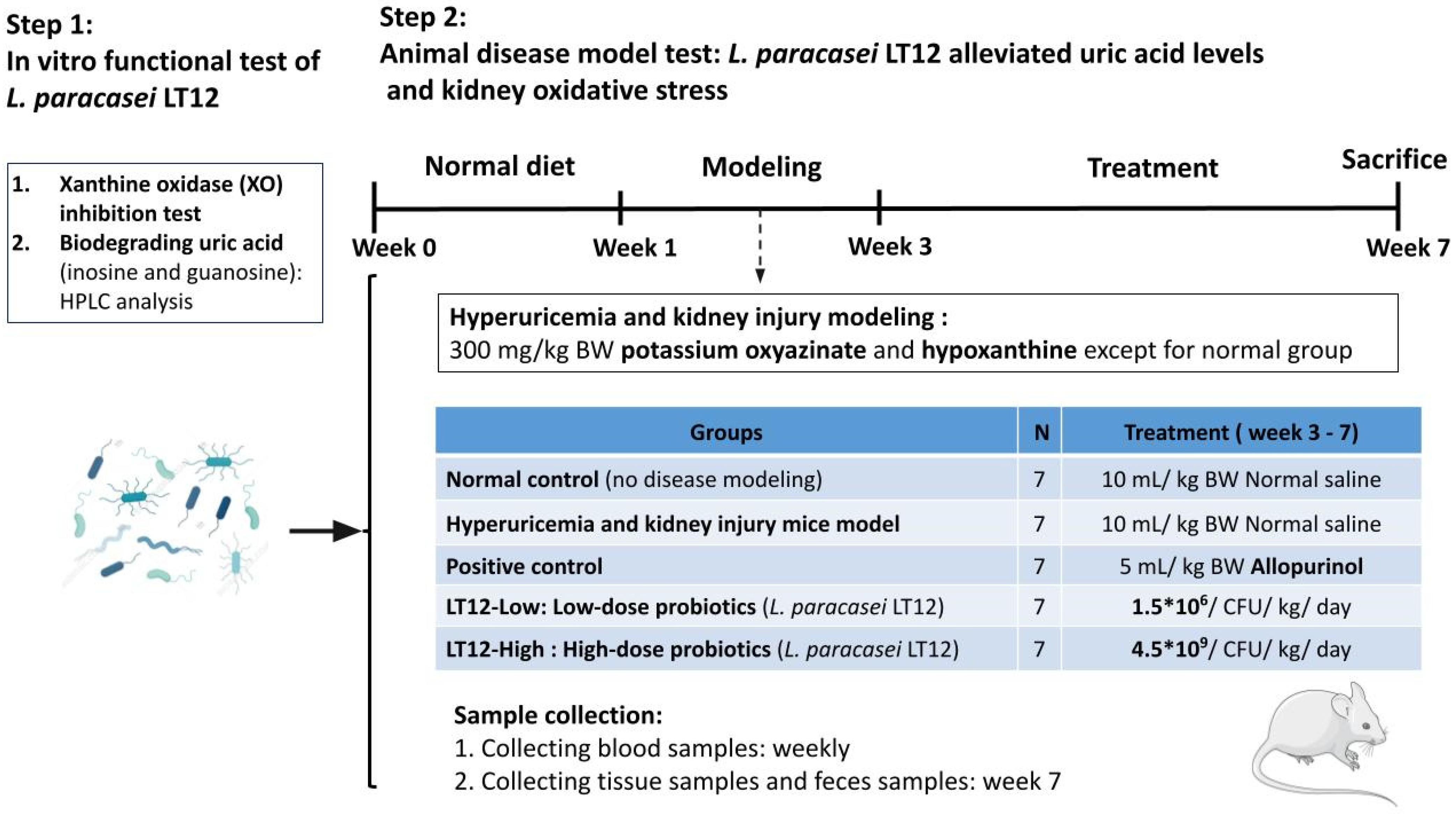 Fermentation 11 00096 g001