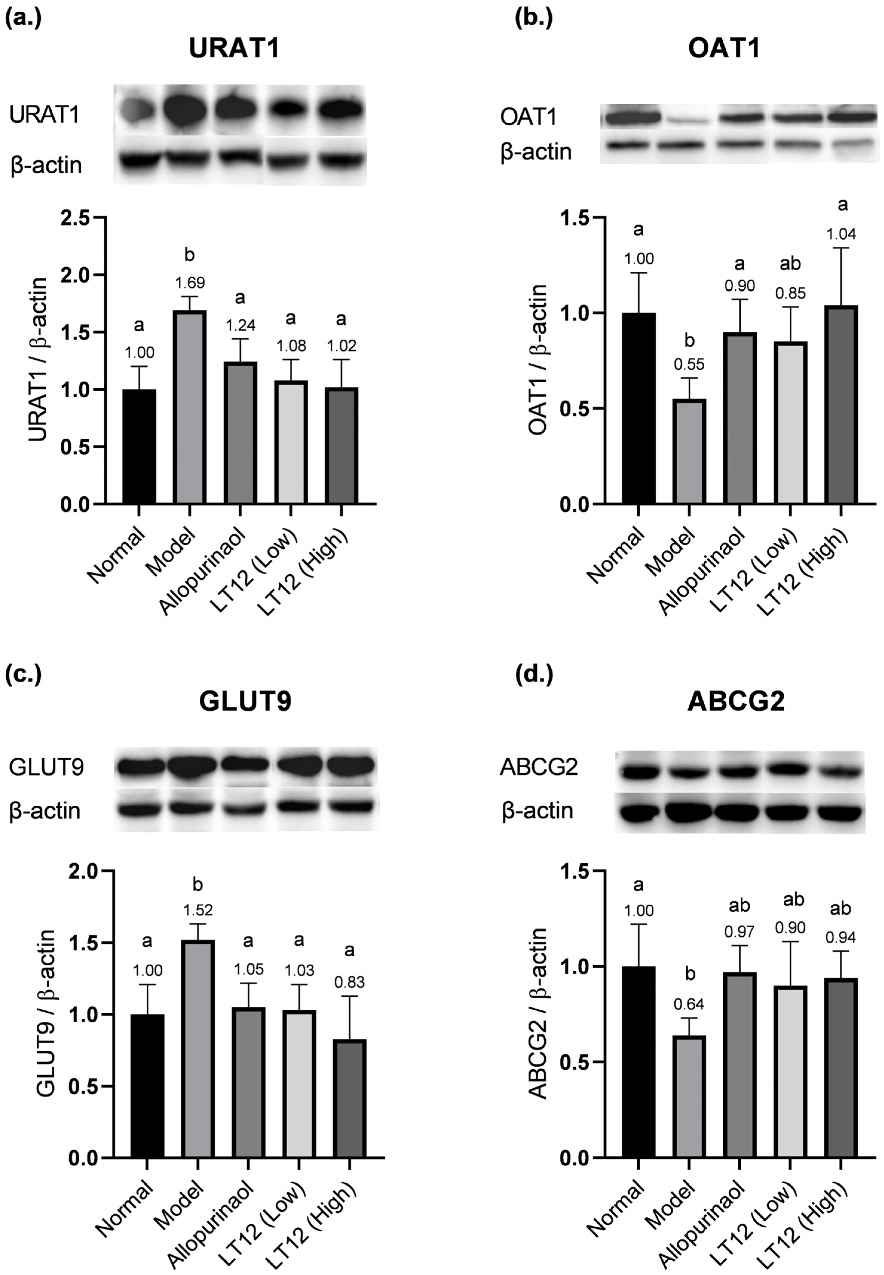 Fermentation 11 00096 g005