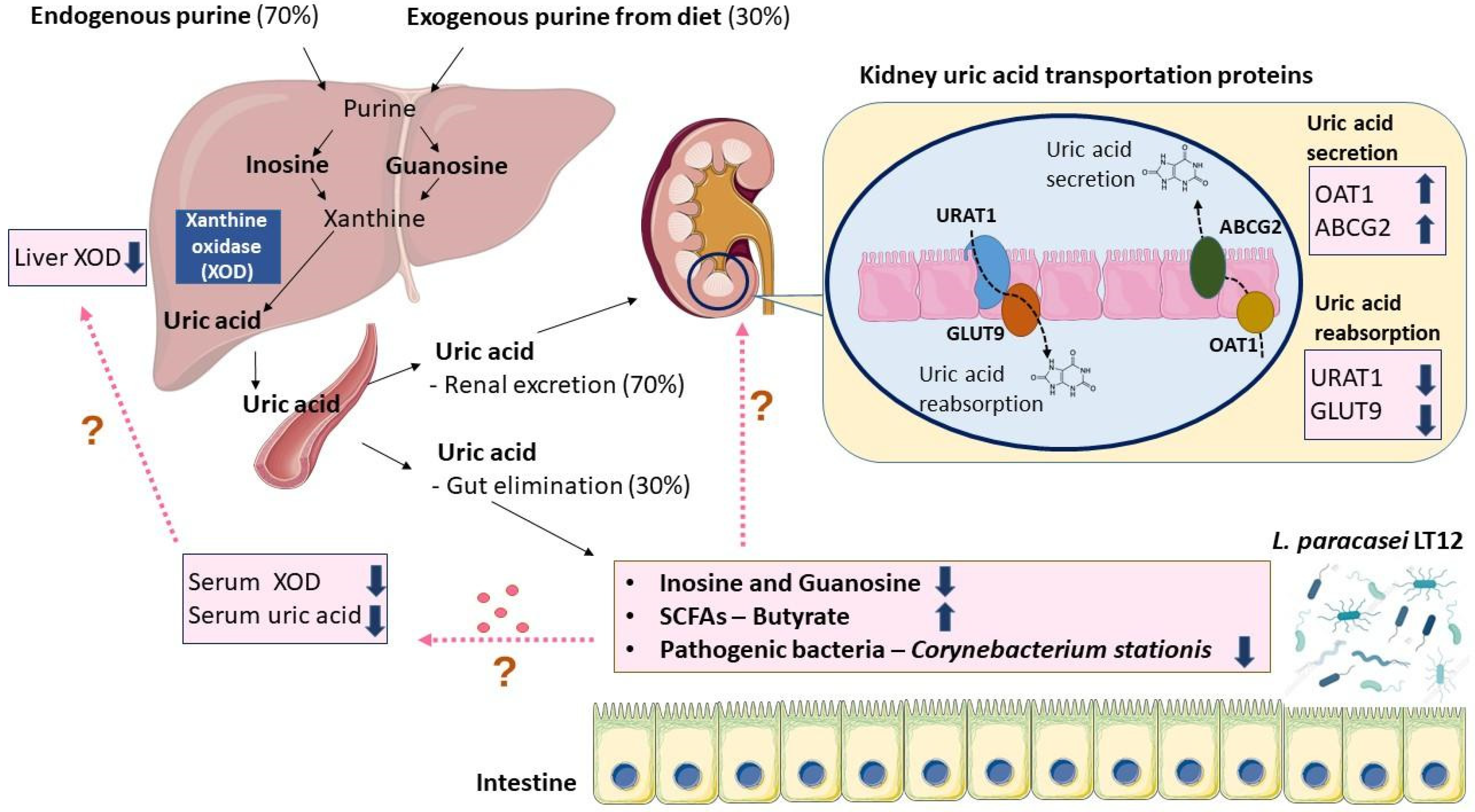 Fermentation 11 00096 g009