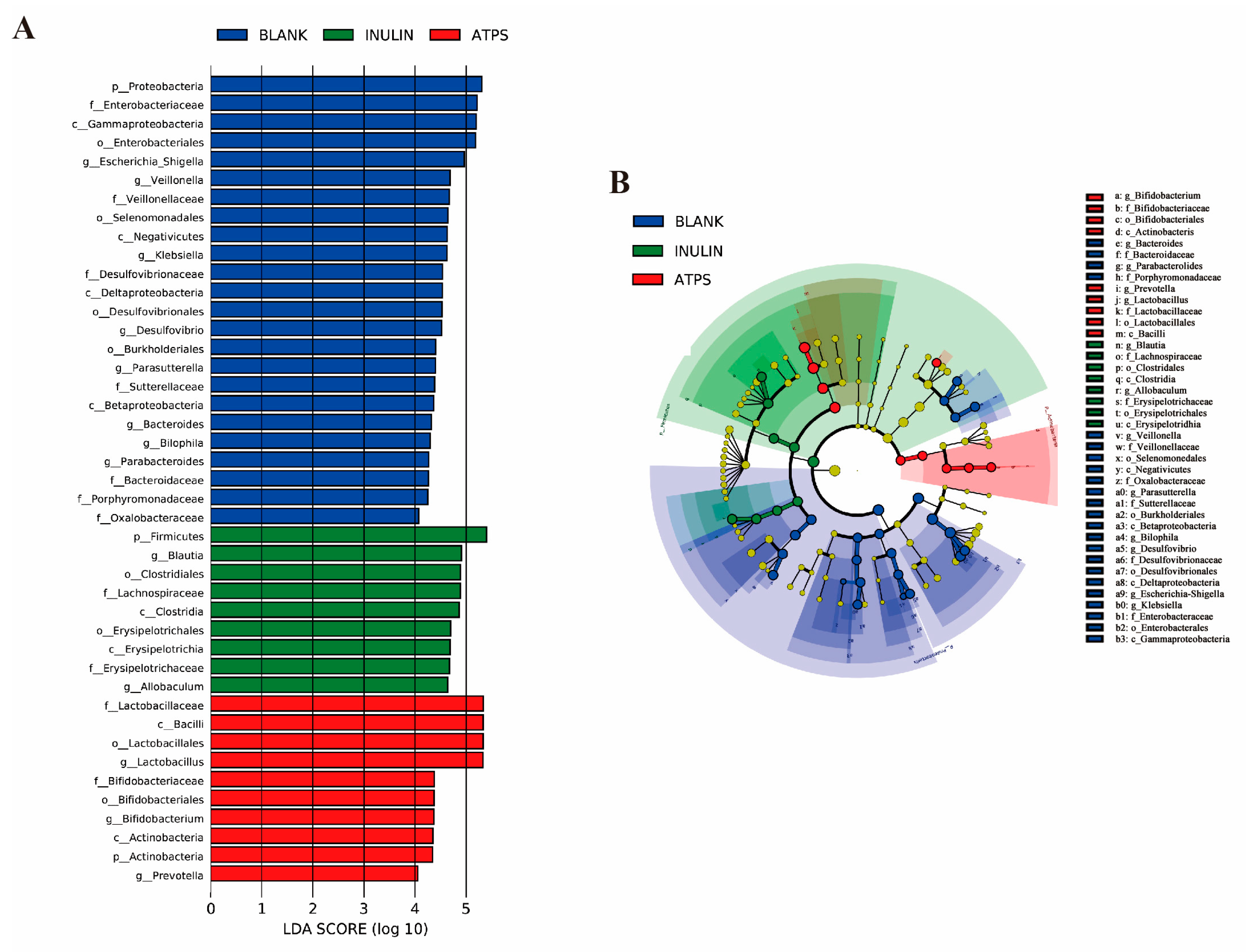Fermentation 11 00097 g003