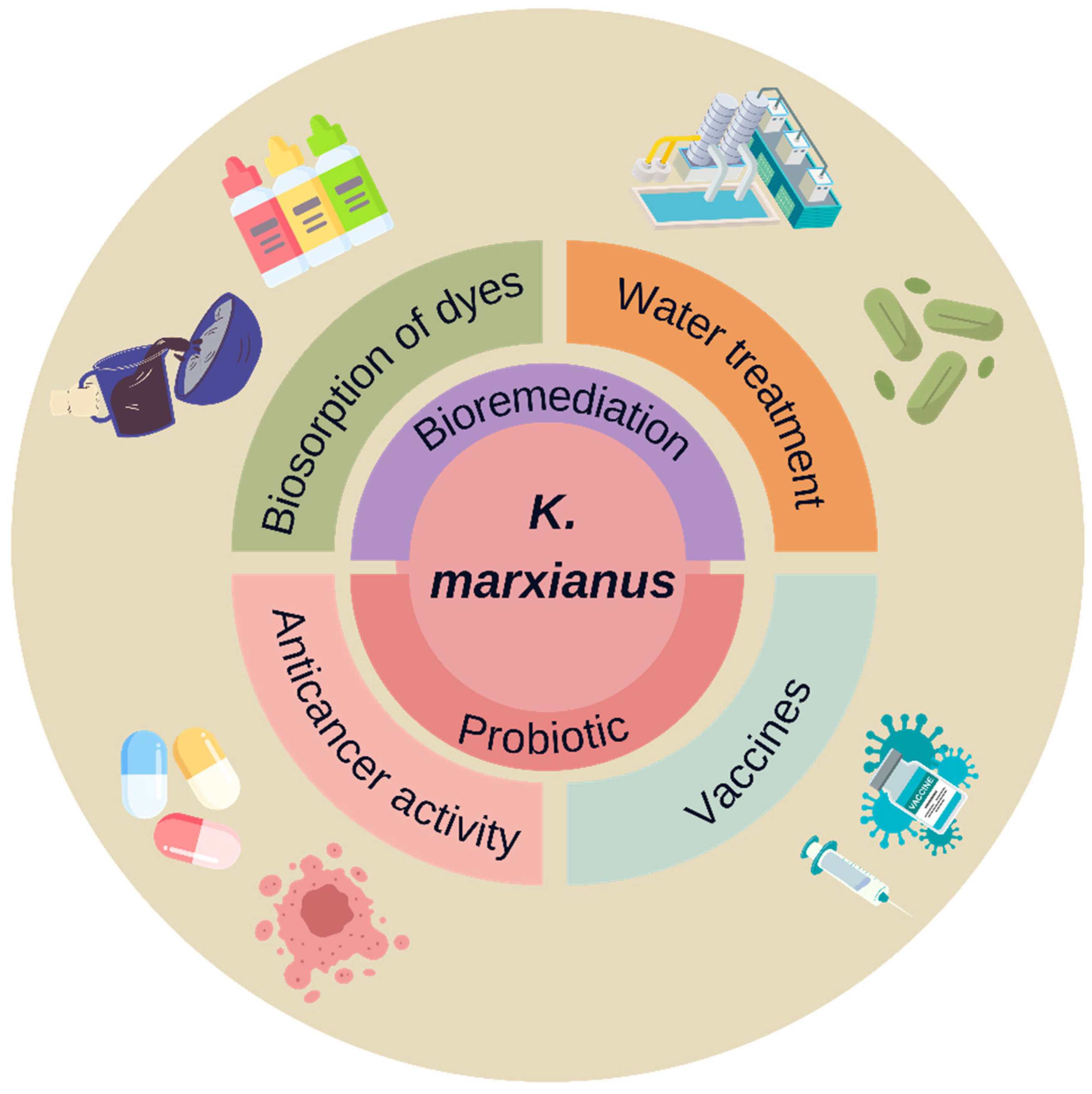 Fermentation 11 00098 g002