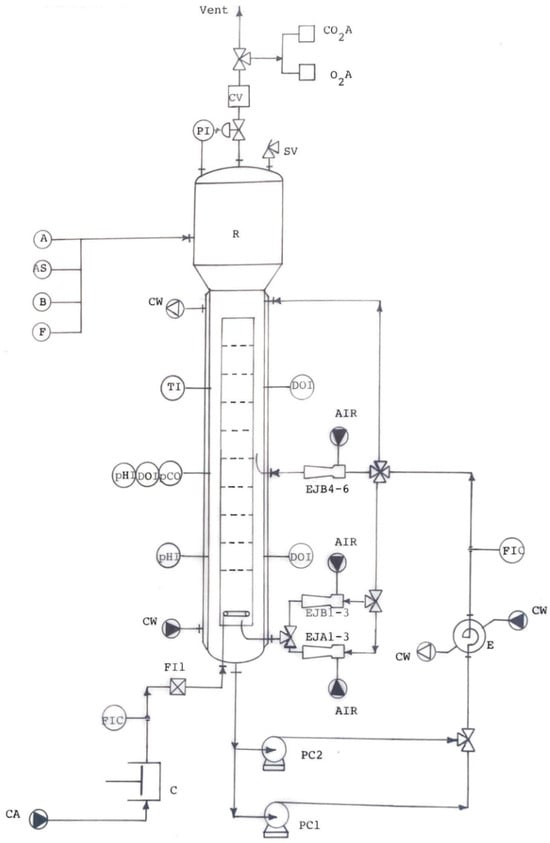 Fermentation 11 00101 g004