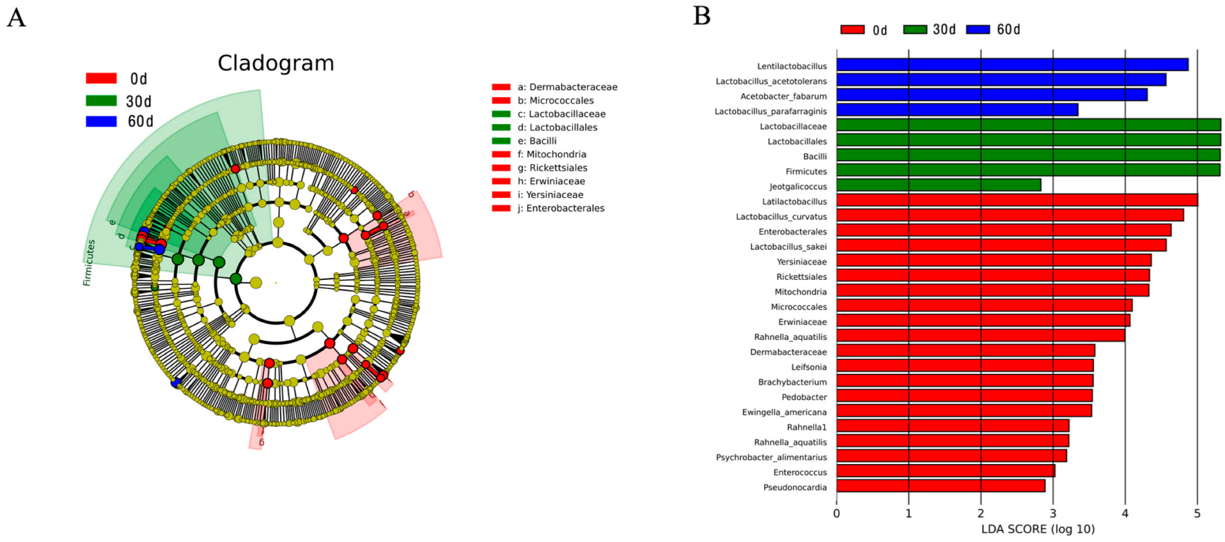 Fermentation 11 00113 g003