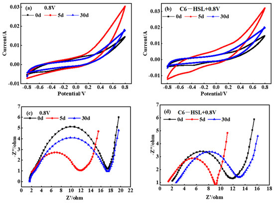 Fermentation 11 00117 g0a2