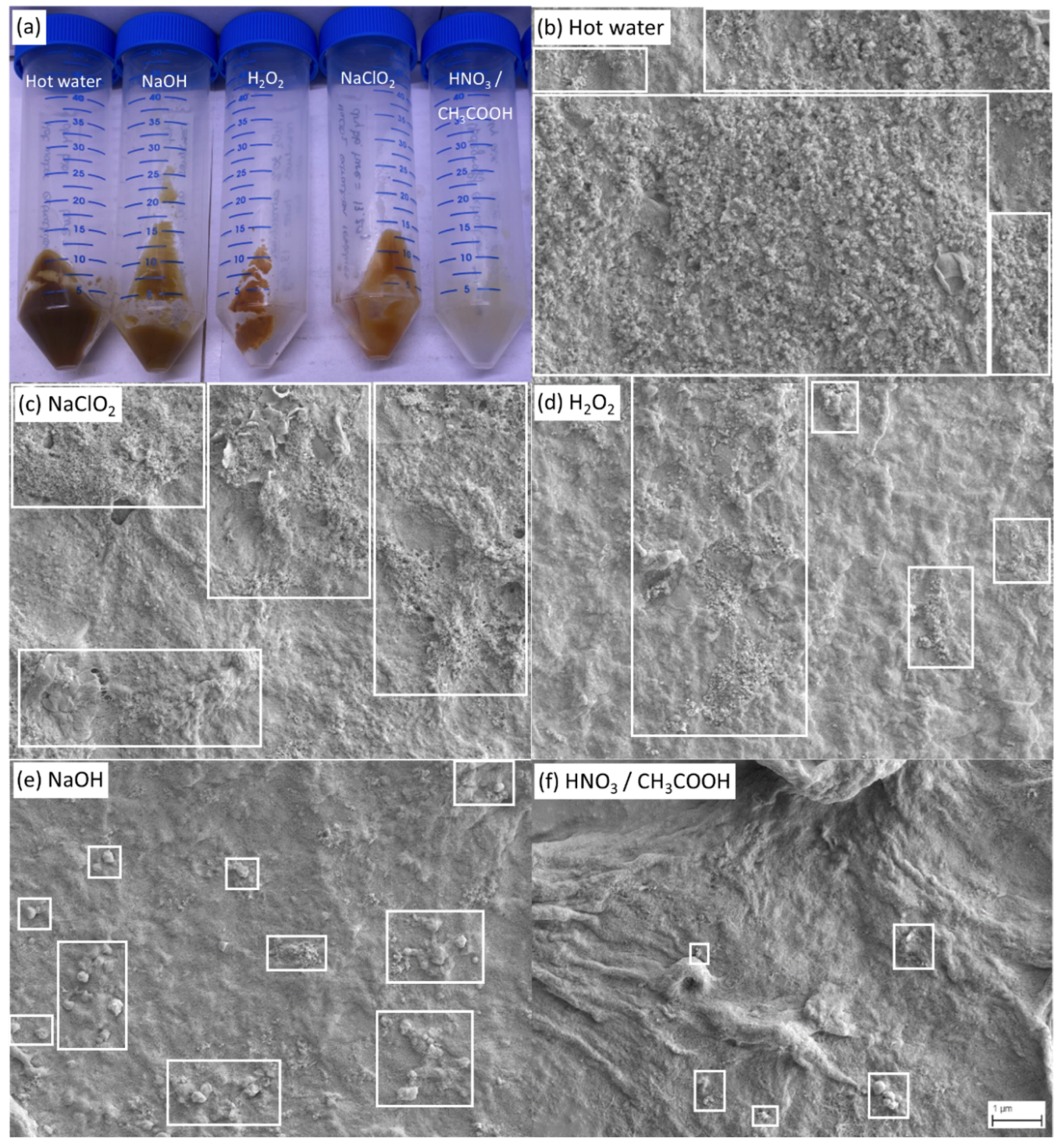 Fermentation 11 00120 g005