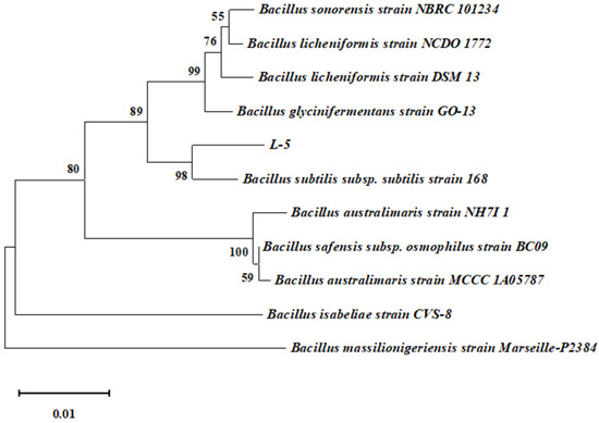 Fermentation 11 00137 g003
