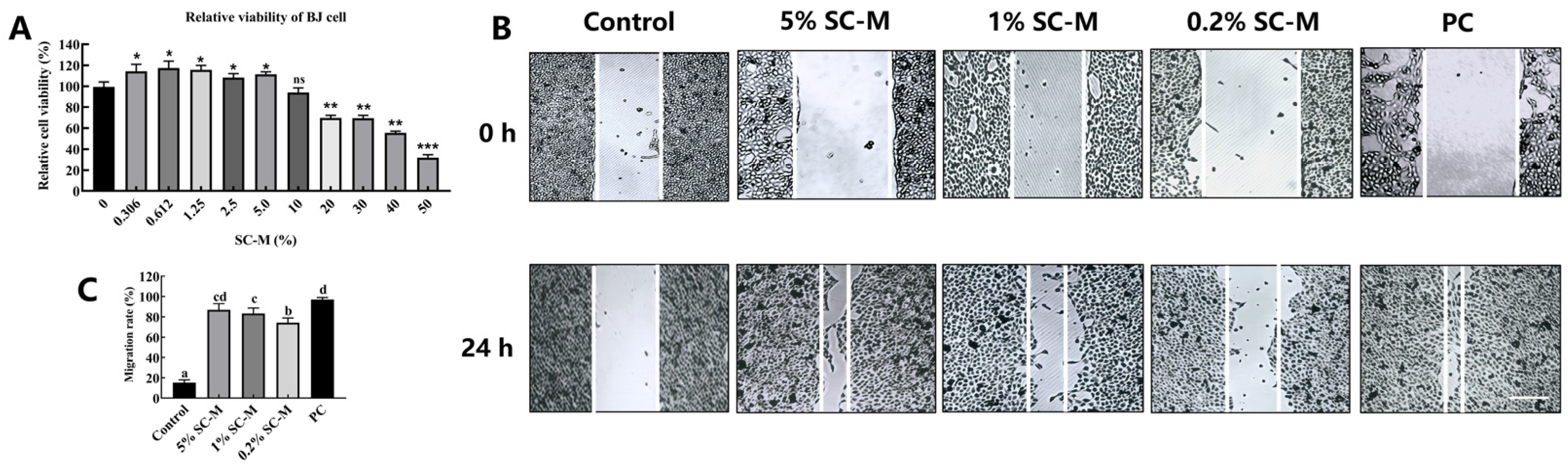 Fermentation 11 00145 g003
