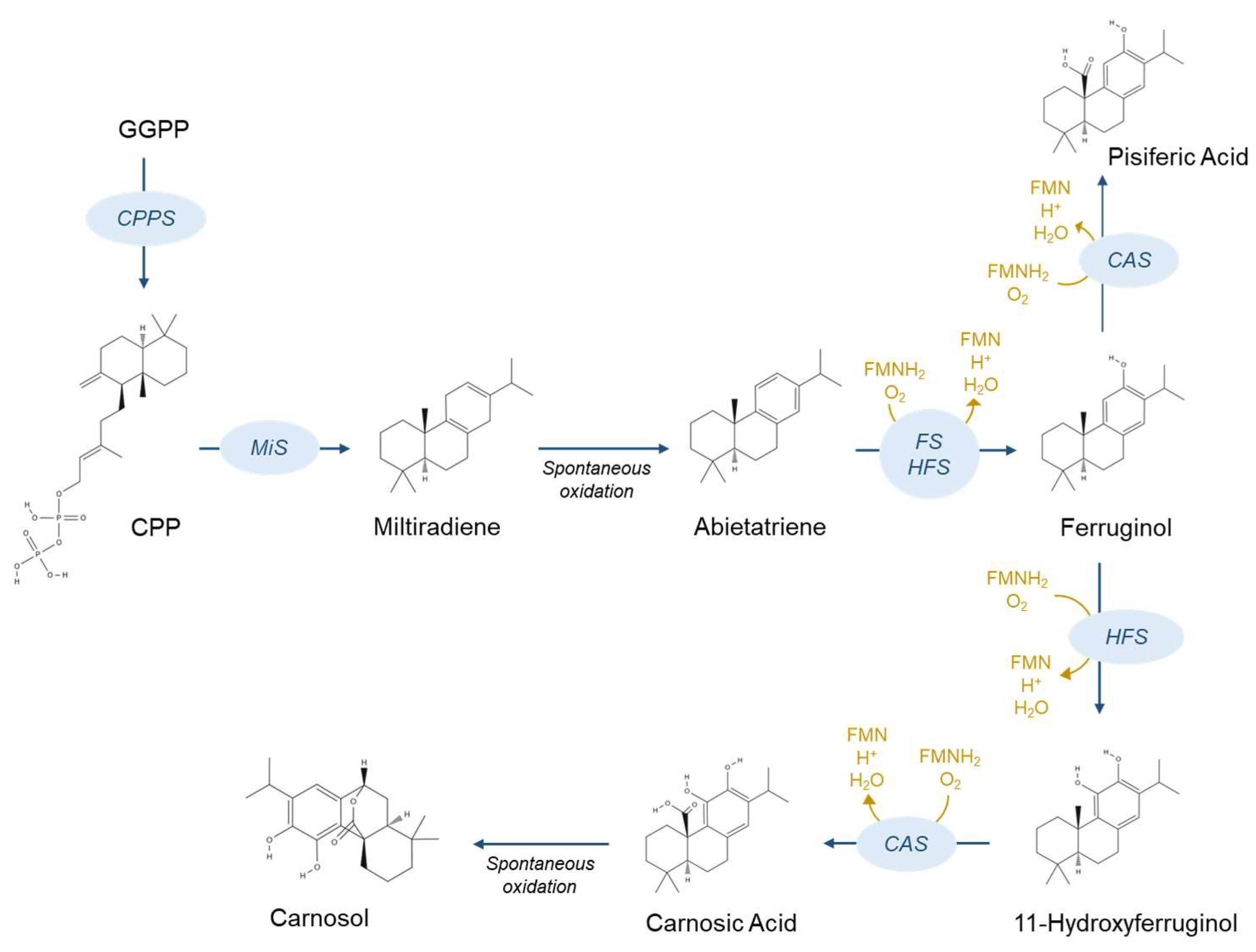 Fermentation 11 00147 g001