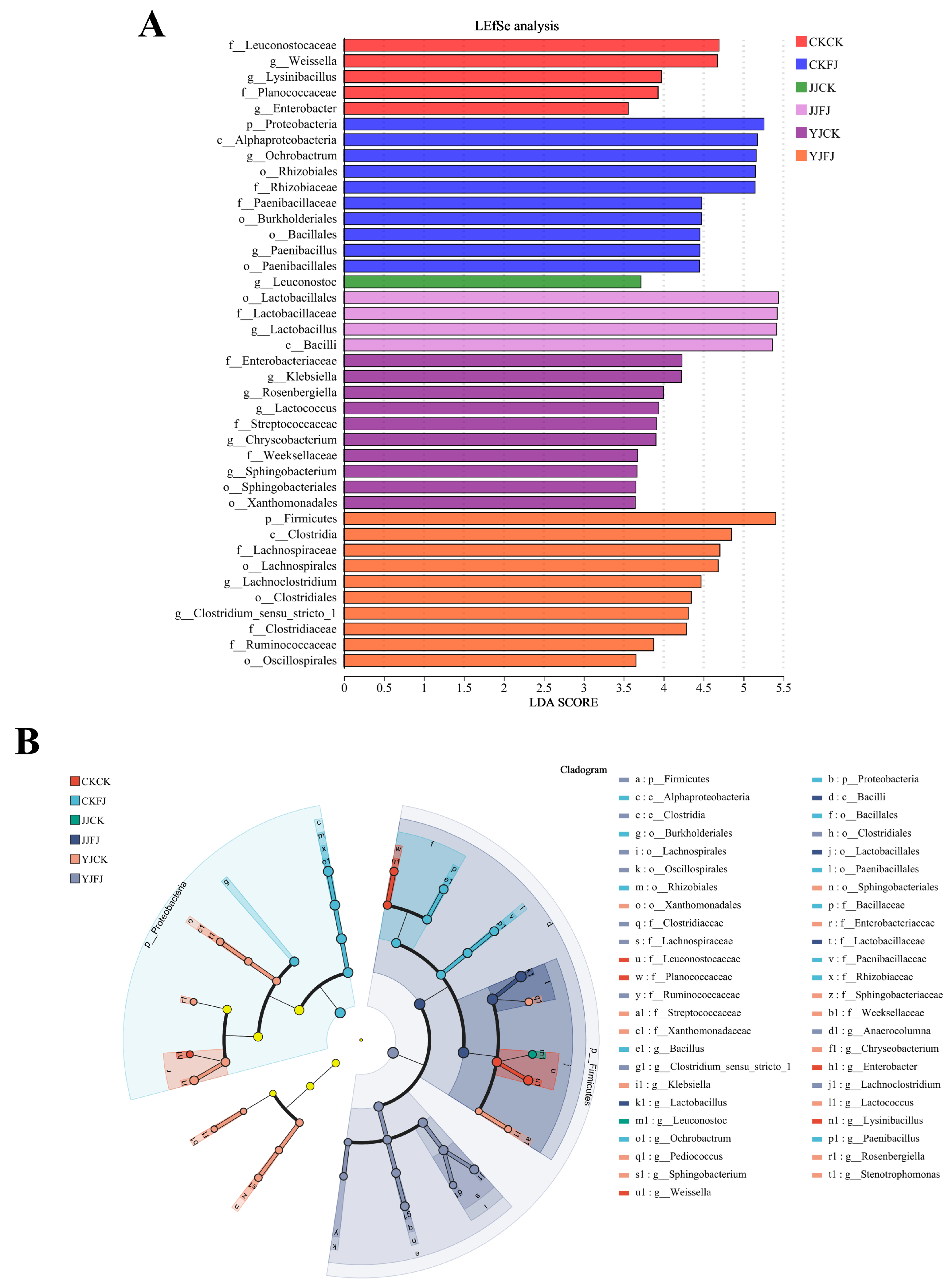 Fermentation 11 00151 g006