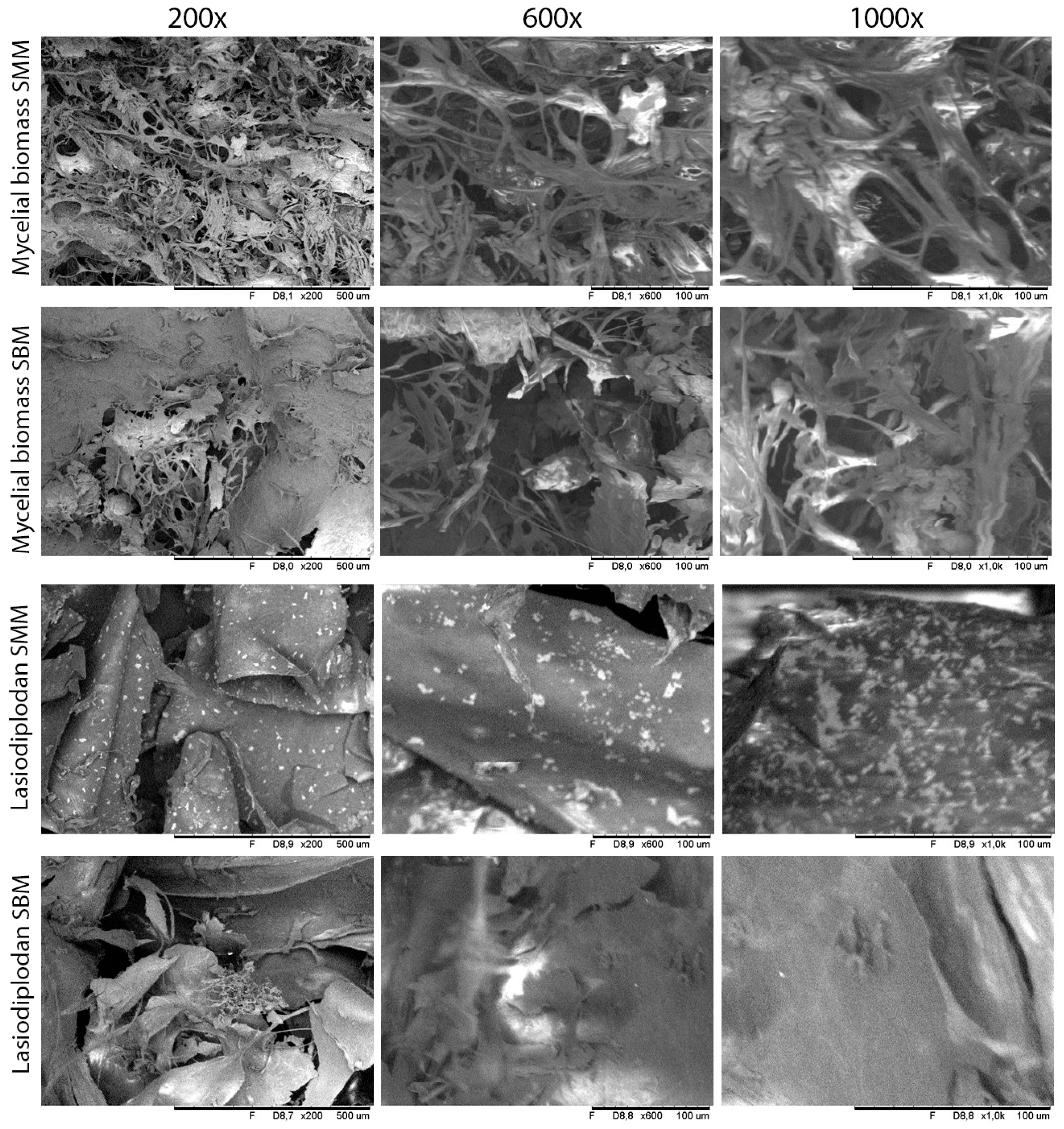 Fermentation 11 00166 g005