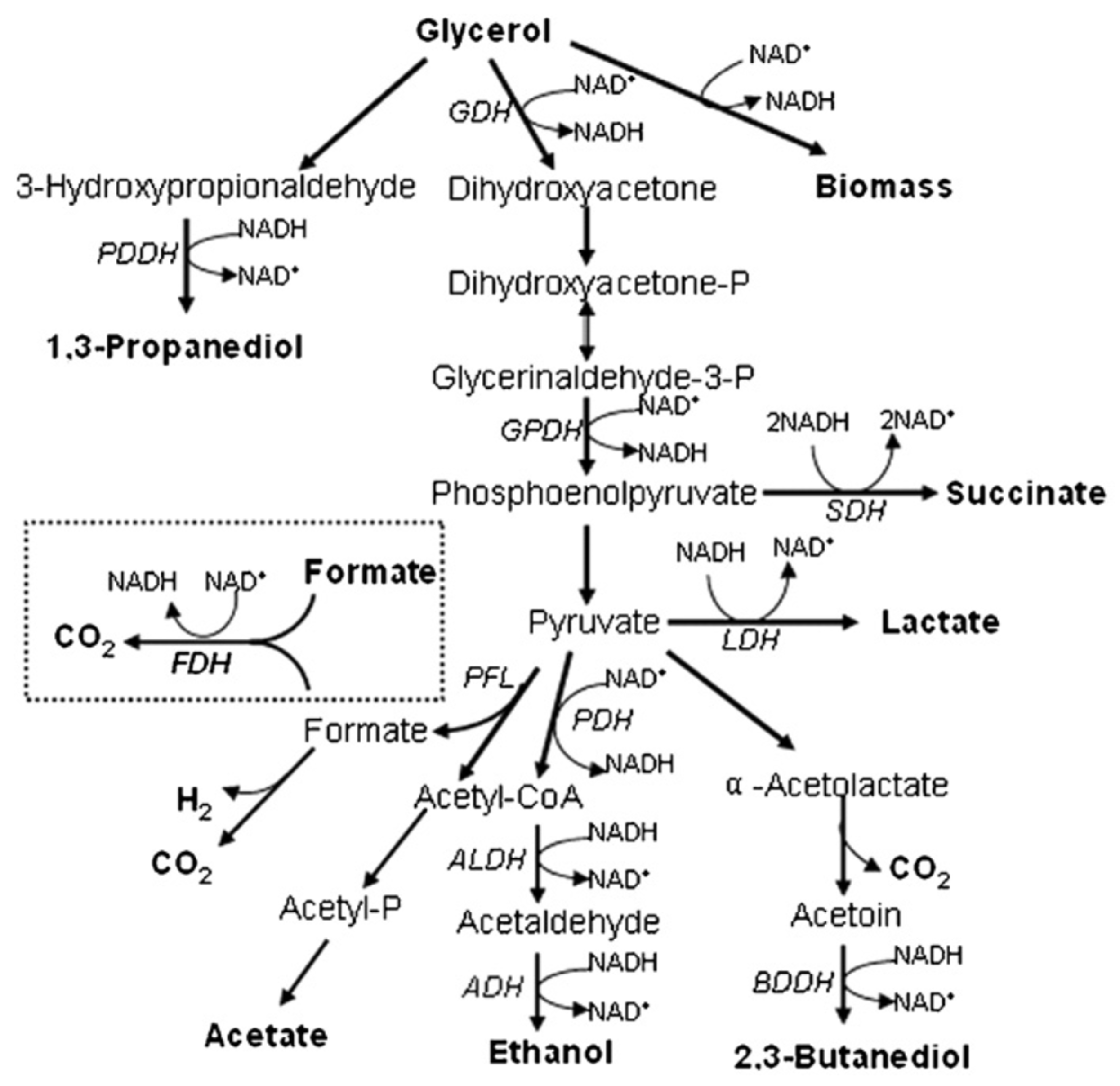 Fermentation 11 00172 g002