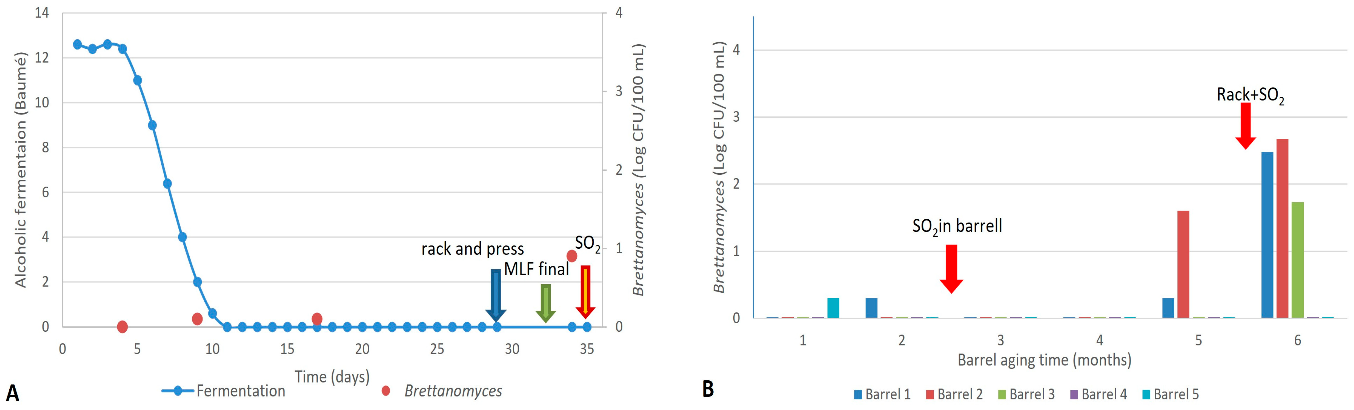 Fermentation 11 00175 g002