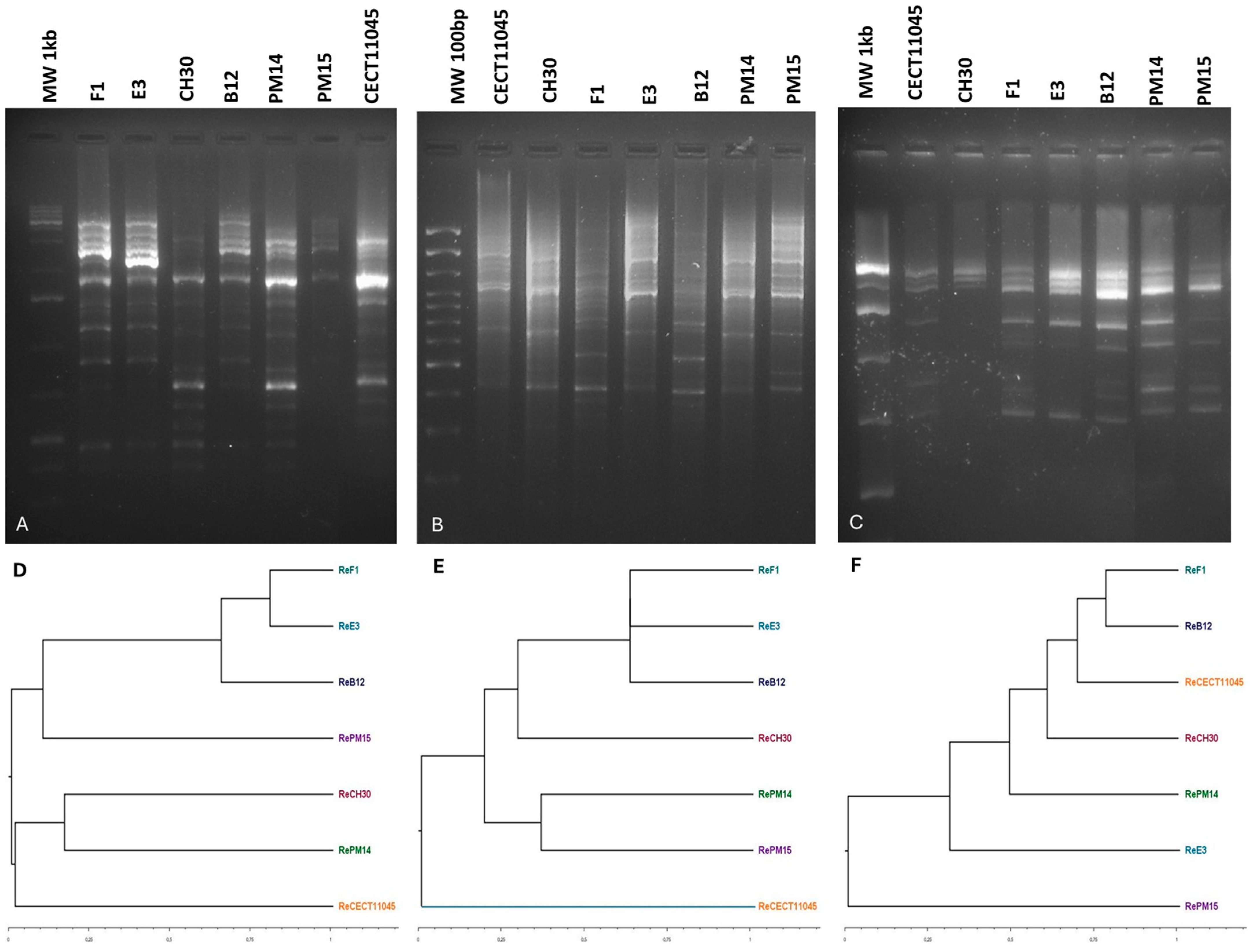 Fermentation 11 00175 g005