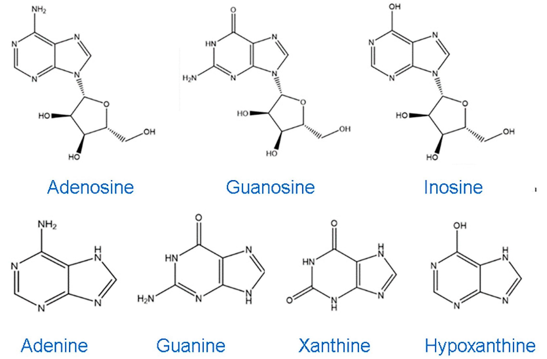 Fermentation 11 00193 g001 Fermentation 11 00193 g001