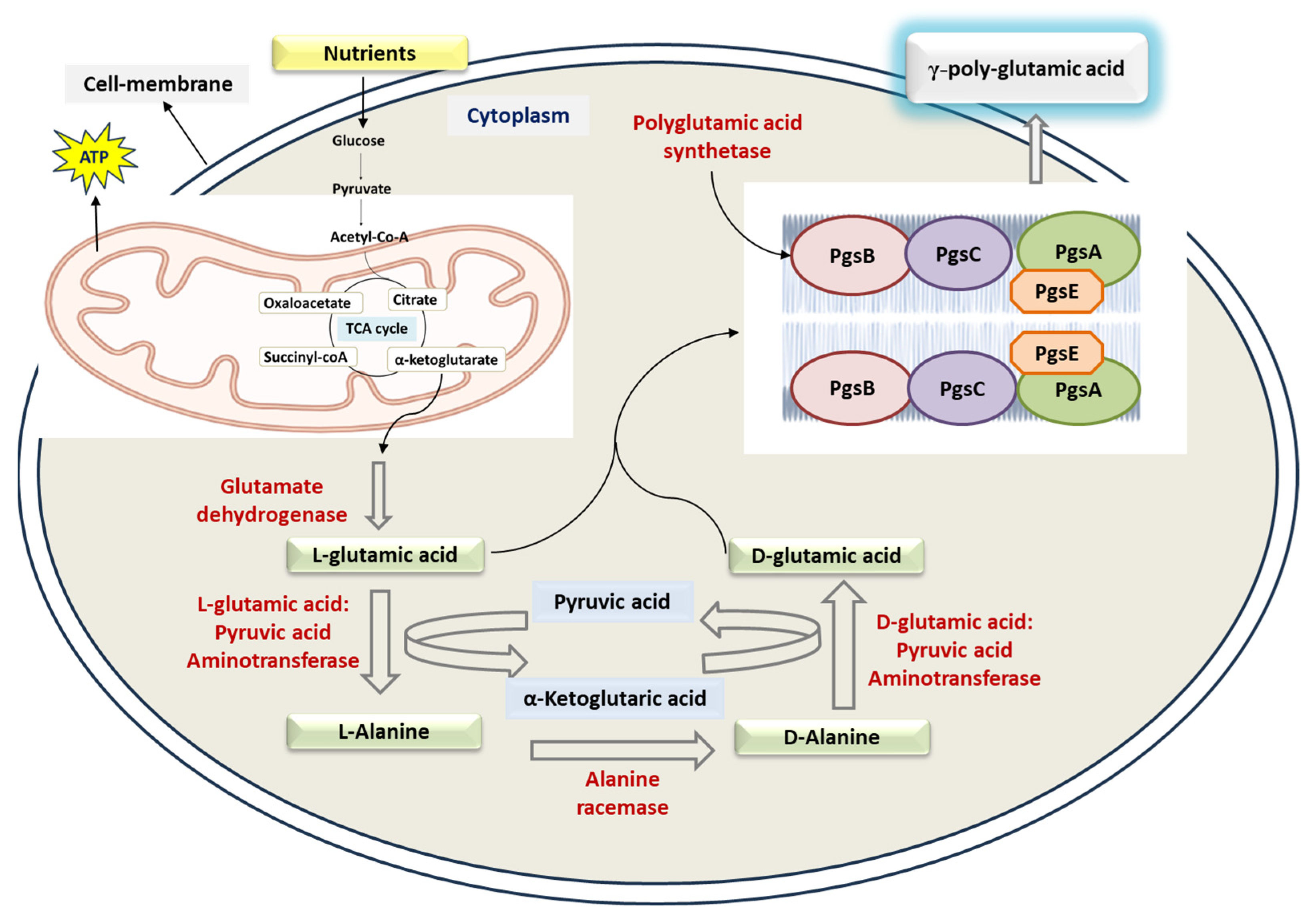 Fermentation 11 00208 g001