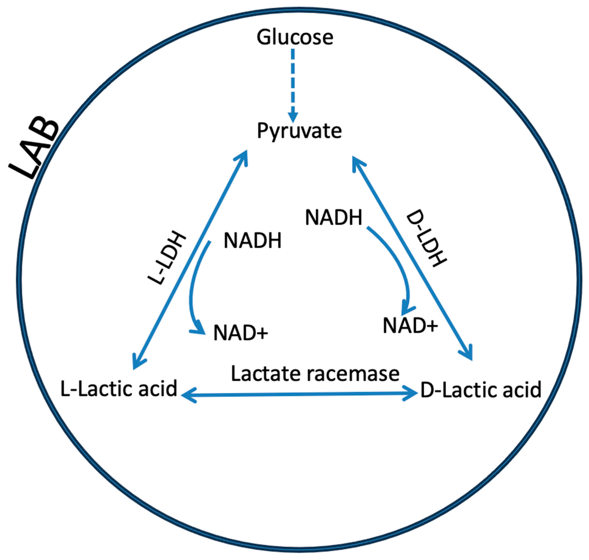 Fermentation 11 00213 g002