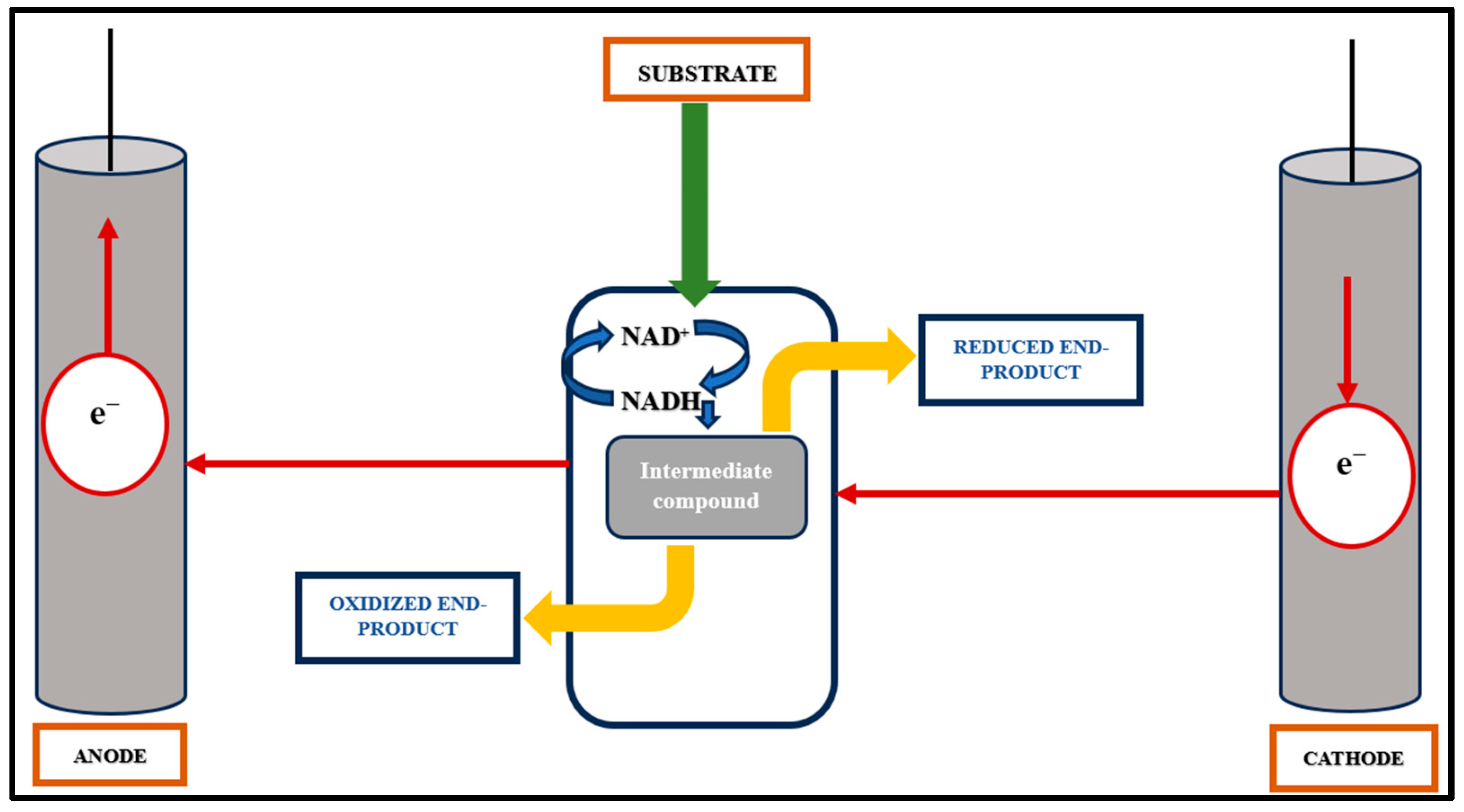 Fermentation 11 00219 g002