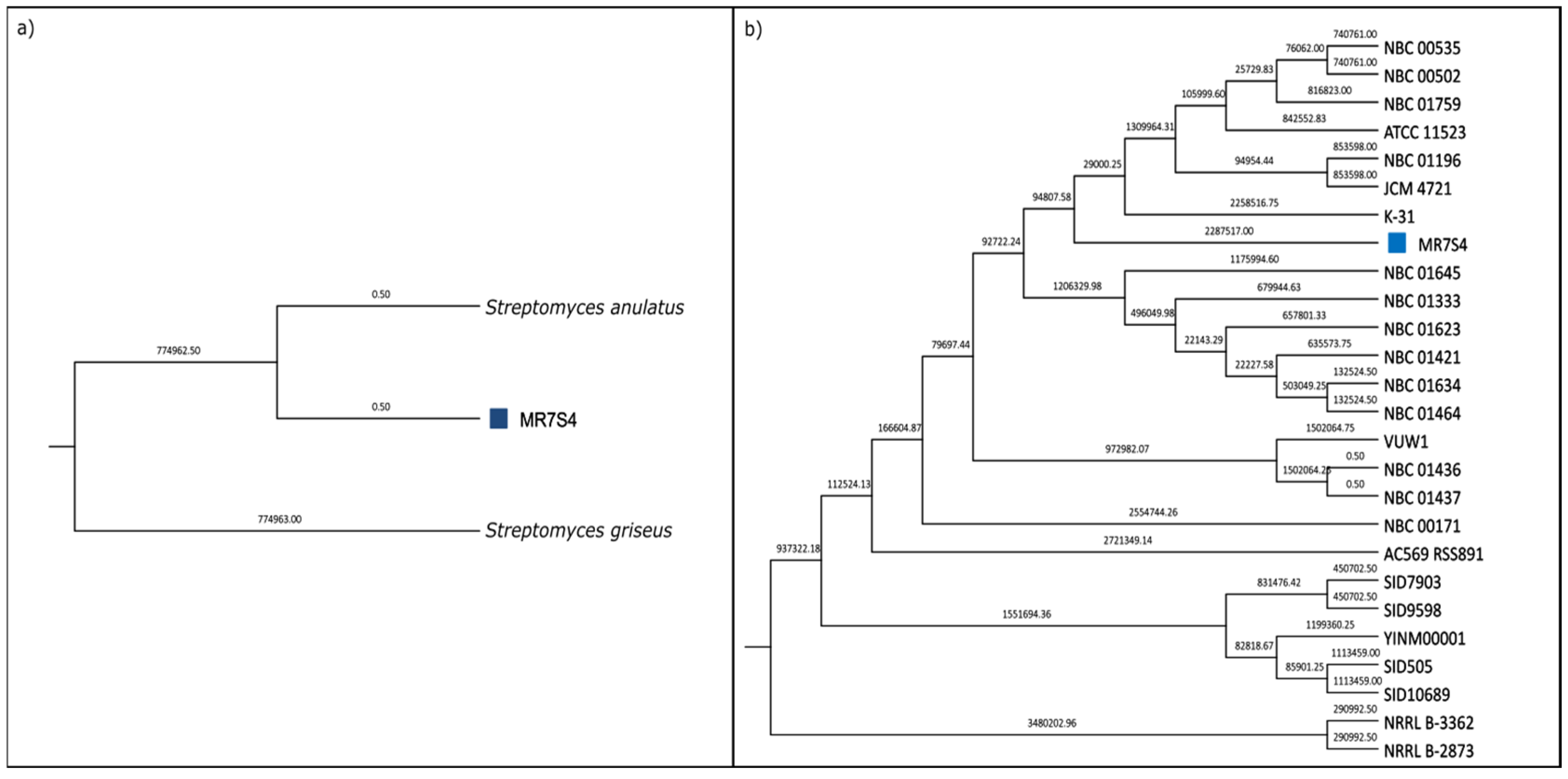 Fermentation 11 00222 g004