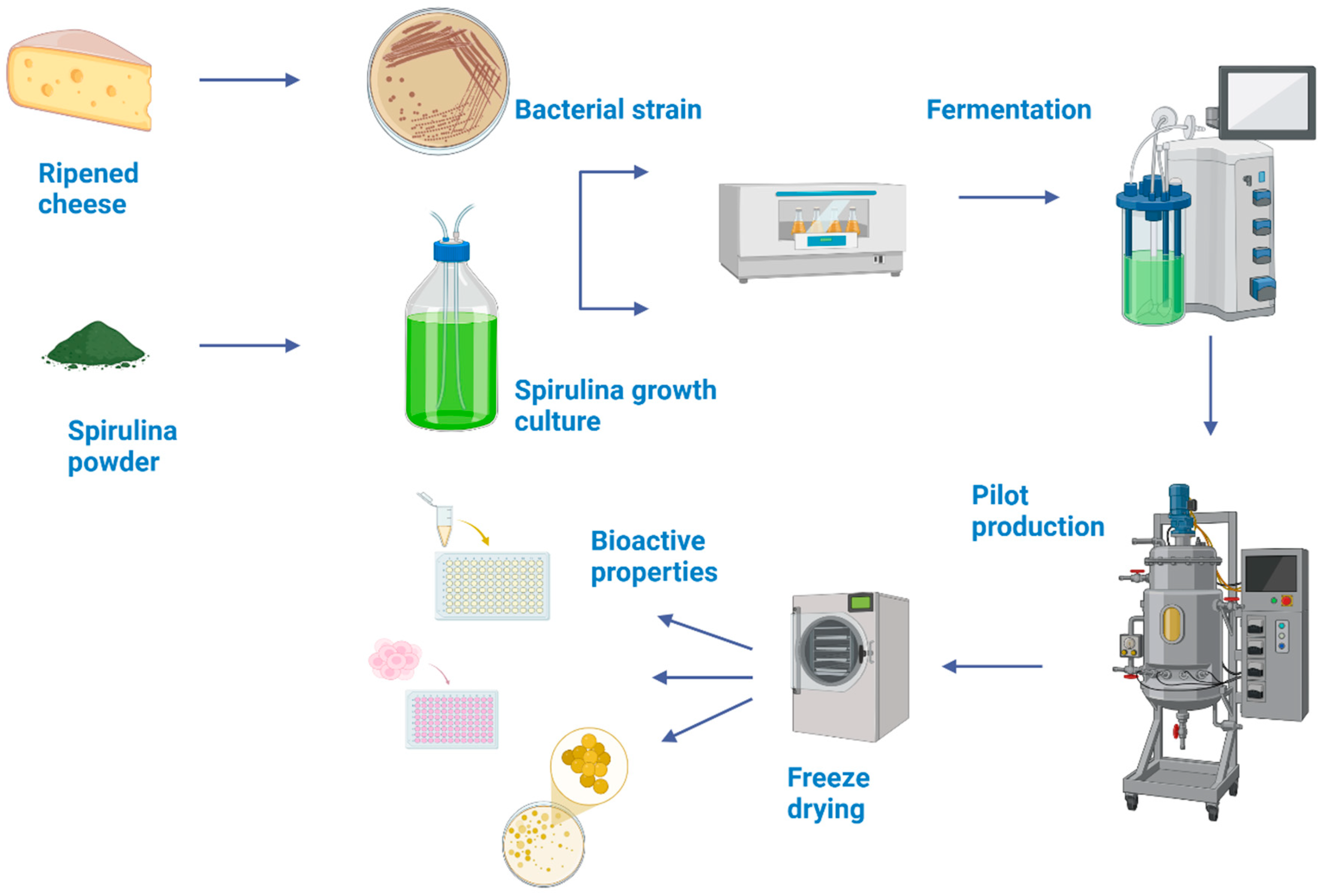 Fermentation 11 00248 g001 Fermentation 11 00248 g001